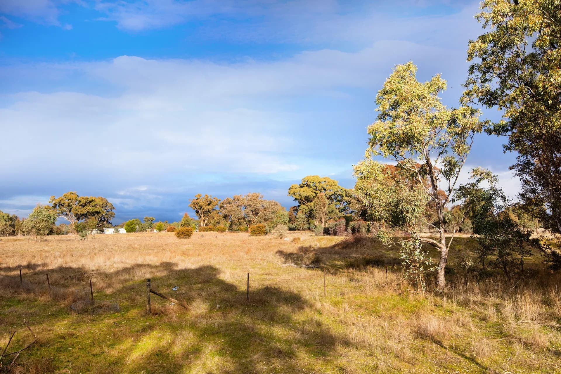 91 Pollards Road, Elphinstone, VIC, Elphinstone - Thumbnail 4