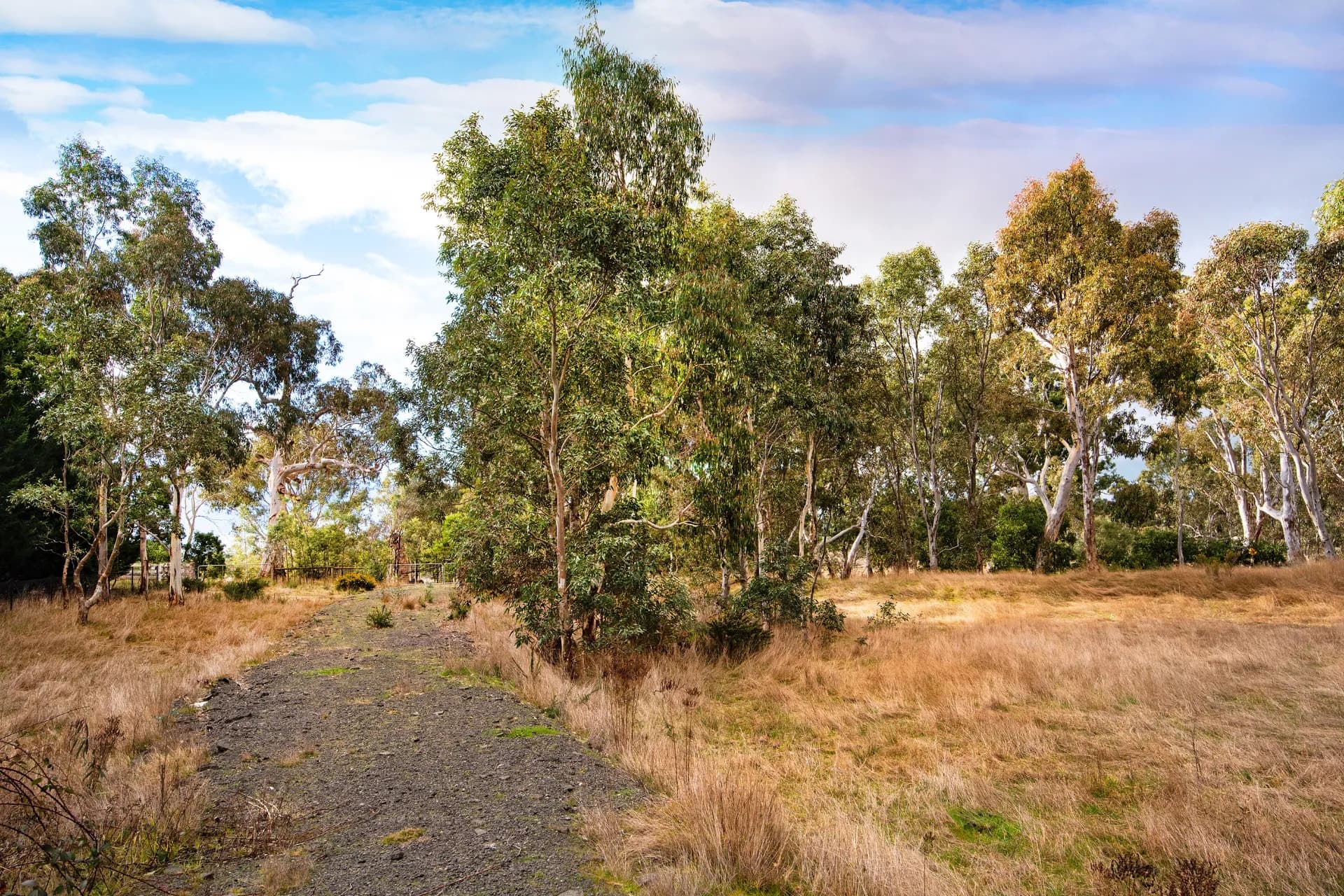 91 Pollards Road, Elphinstone, VIC, Elphinstone - Thumbnail 5