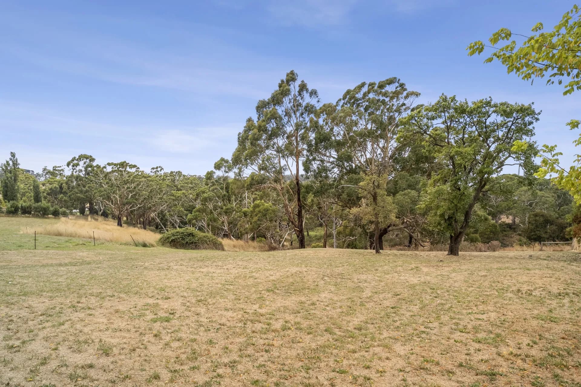 36 Barkly Street, Glenlyon, VIC, Glenlyon - Thumbnail 5