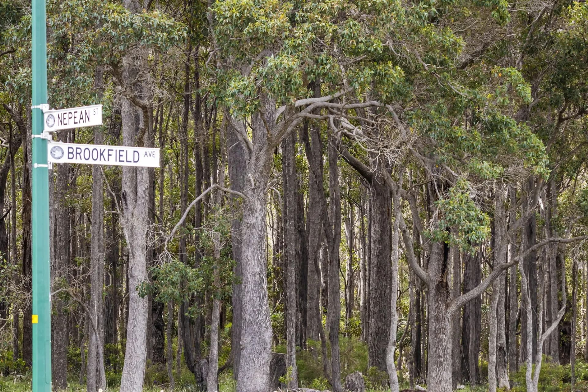 104 Brookfield Avenue, Margaret River, WA, Margaret River - Thumbnail 4