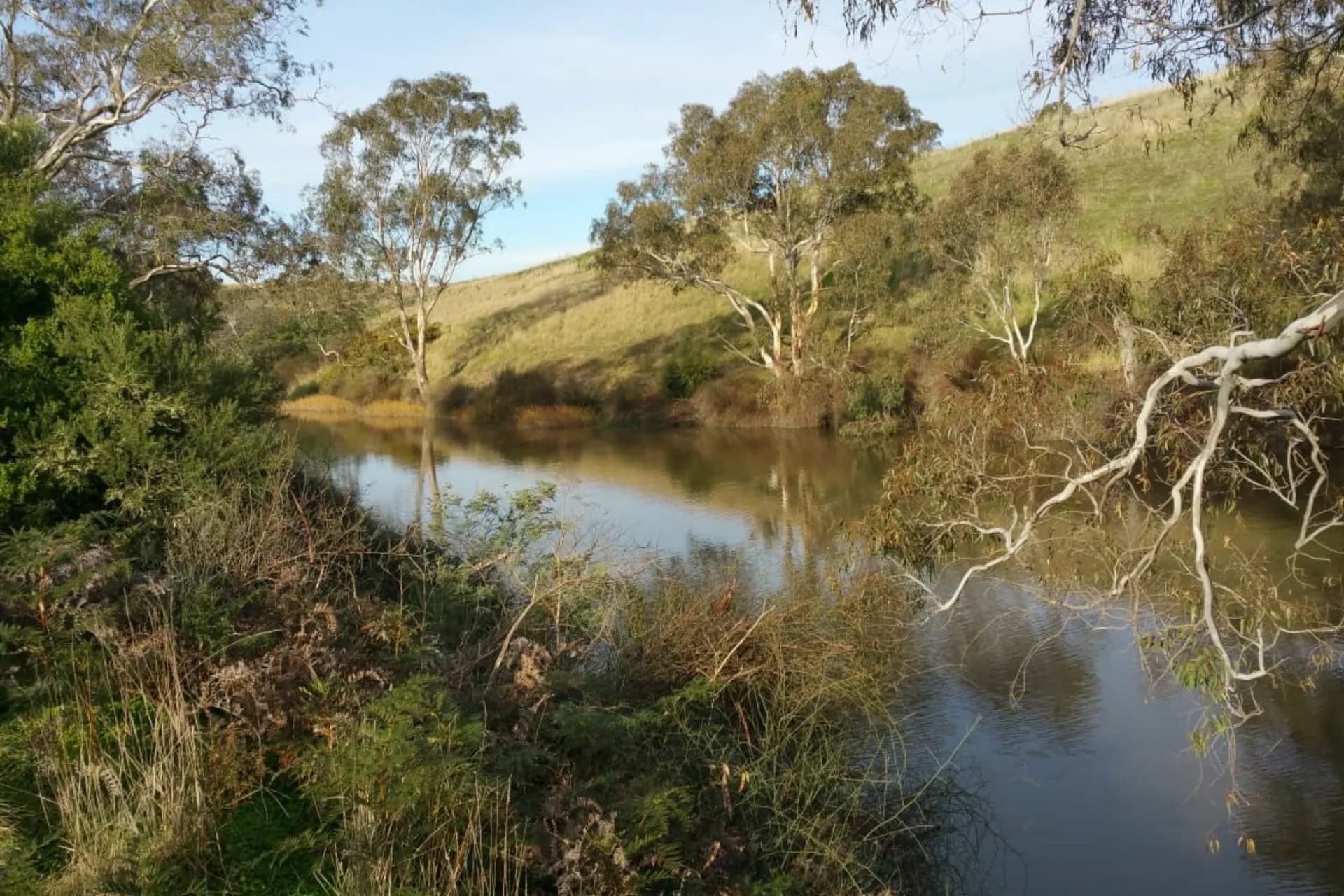 Lot 3,  Hamilton  Highway, Murgheboluc, VIC, Hamilton Highway - Thumbnail 4