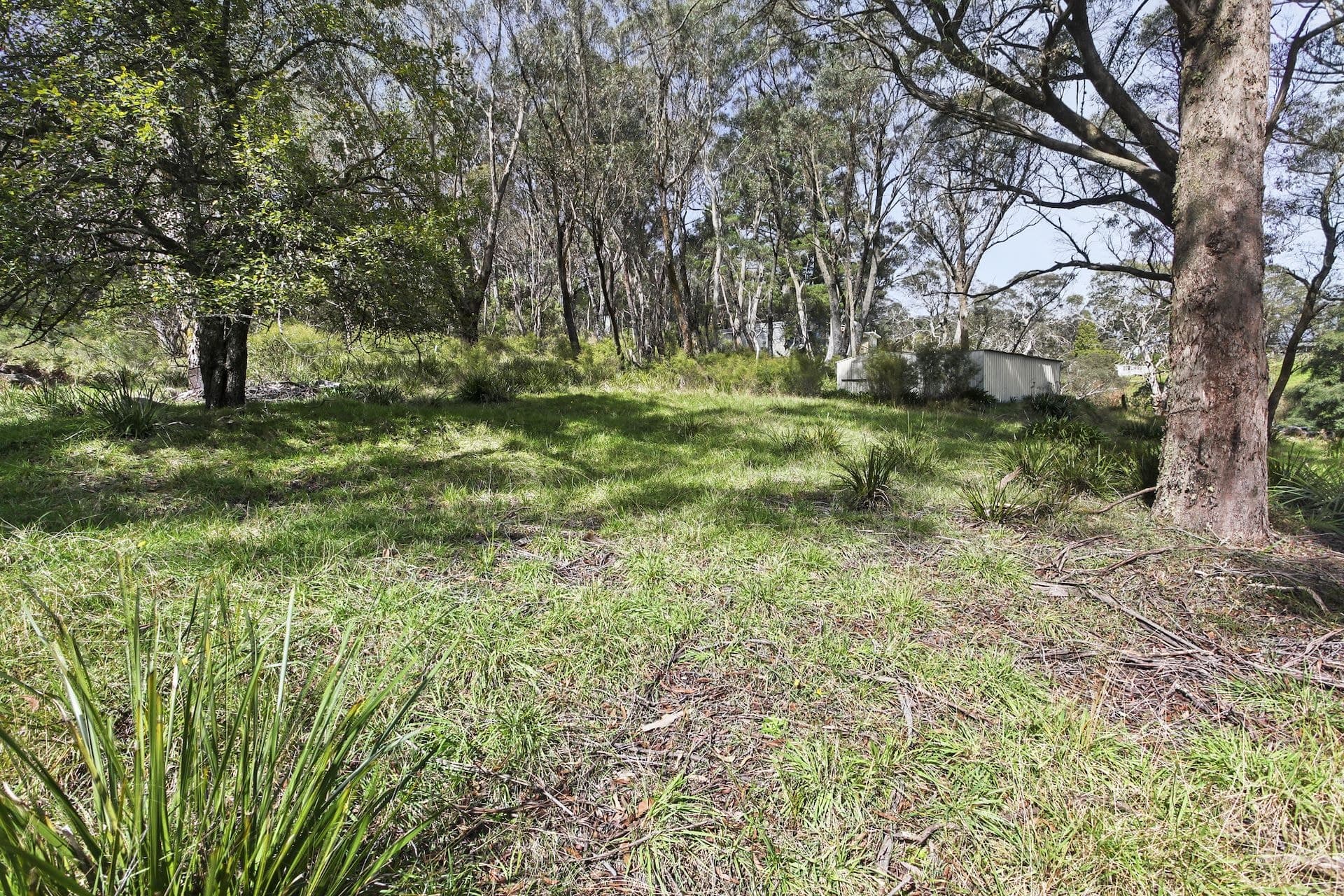 25 Explorers  Road, Katoomba, NSW, Katoomba - Thumbnail 2