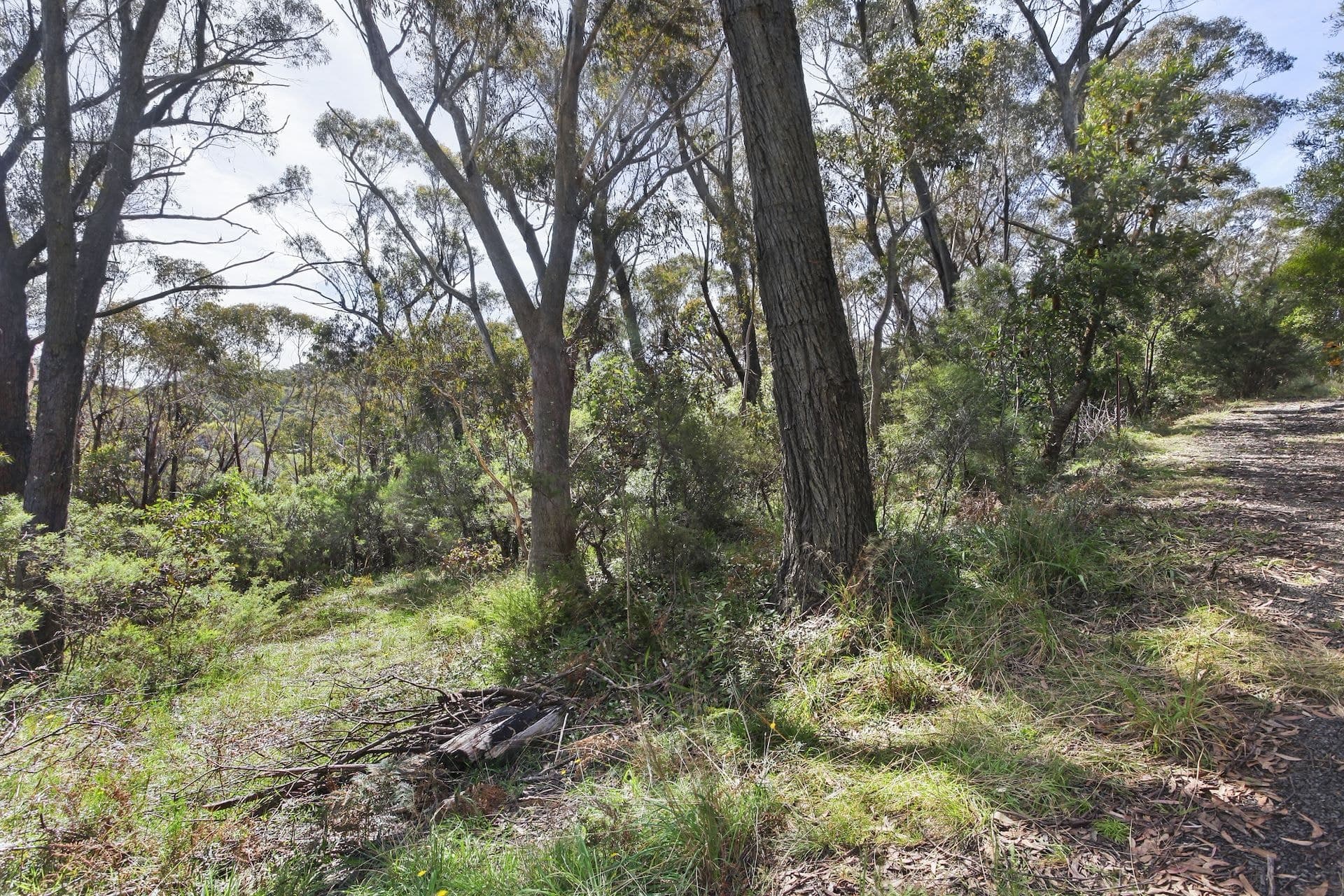 25 Explorers  Road, Katoomba, NSW, Katoomba - Thumbnail 3