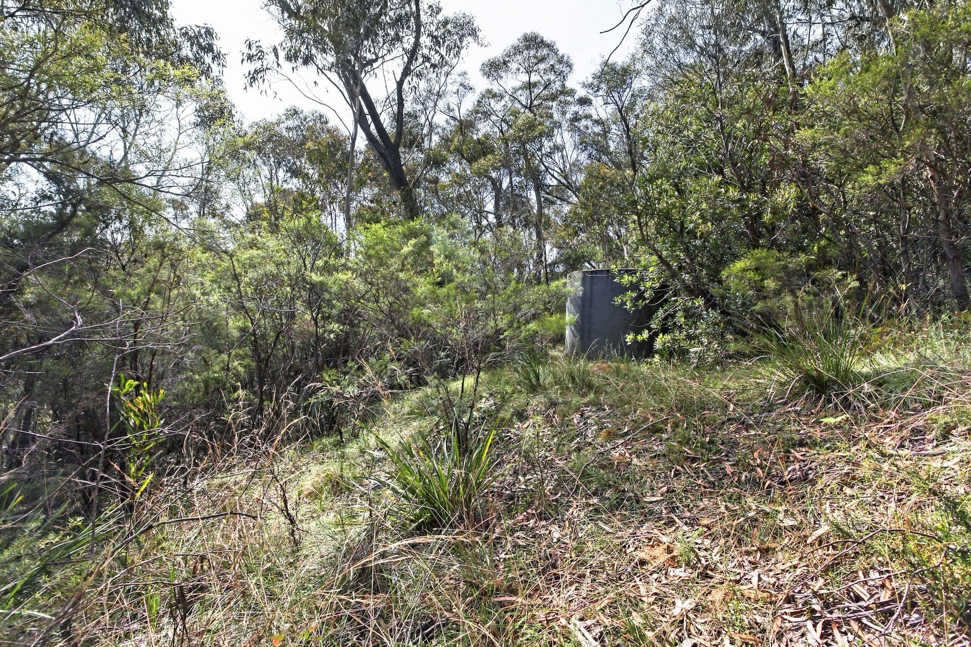 25 Explorers  Road, Katoomba, NSW, Katoomba - Thumbnail 5