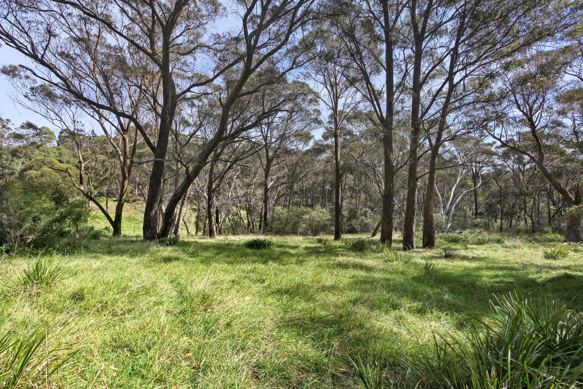 25 Explorers  Road, Katoomba, NSW, Katoomba - Thumbnail 6
