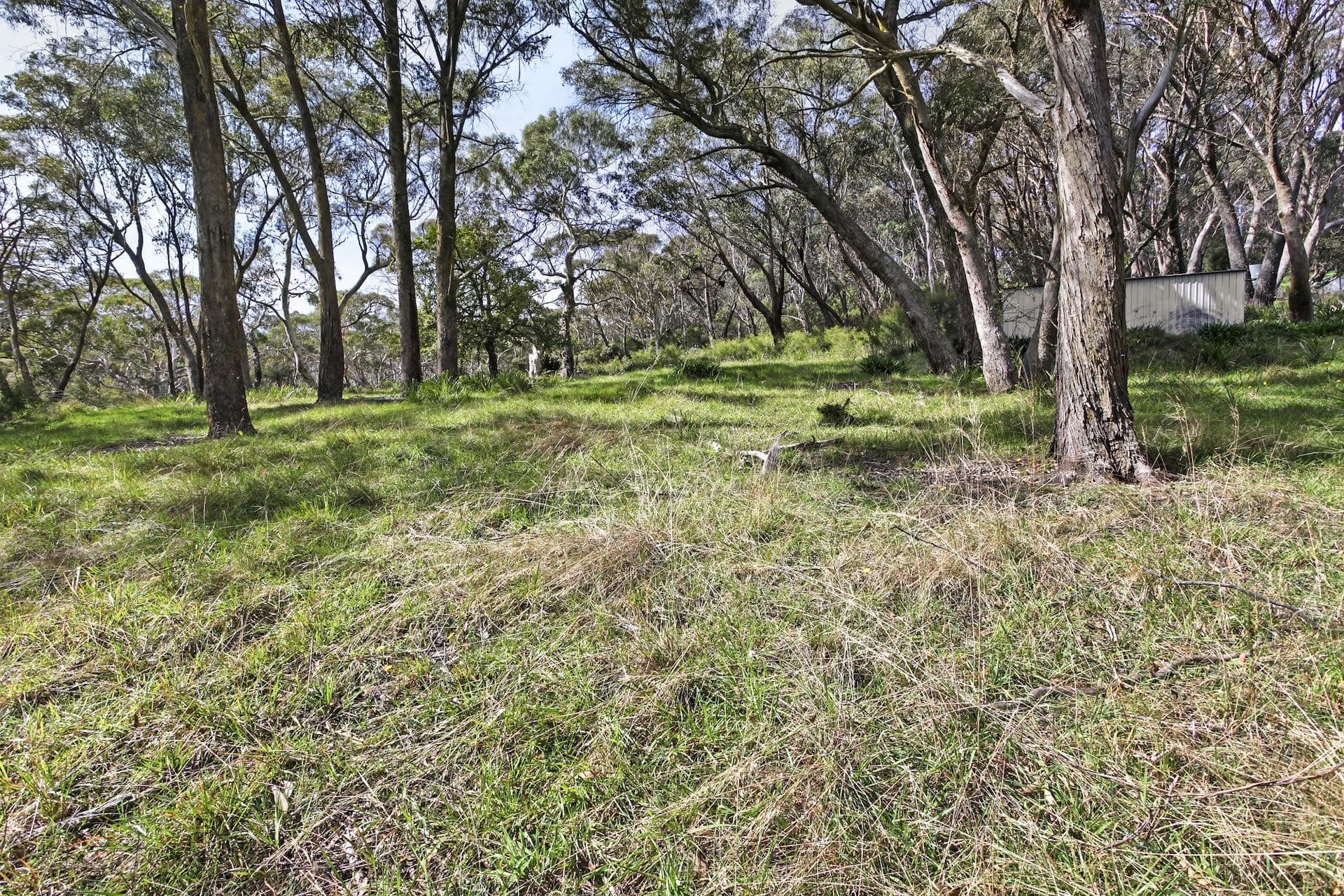 25 Explorers  Road, Katoomba, NSW, Katoomba - Thumbnail 7