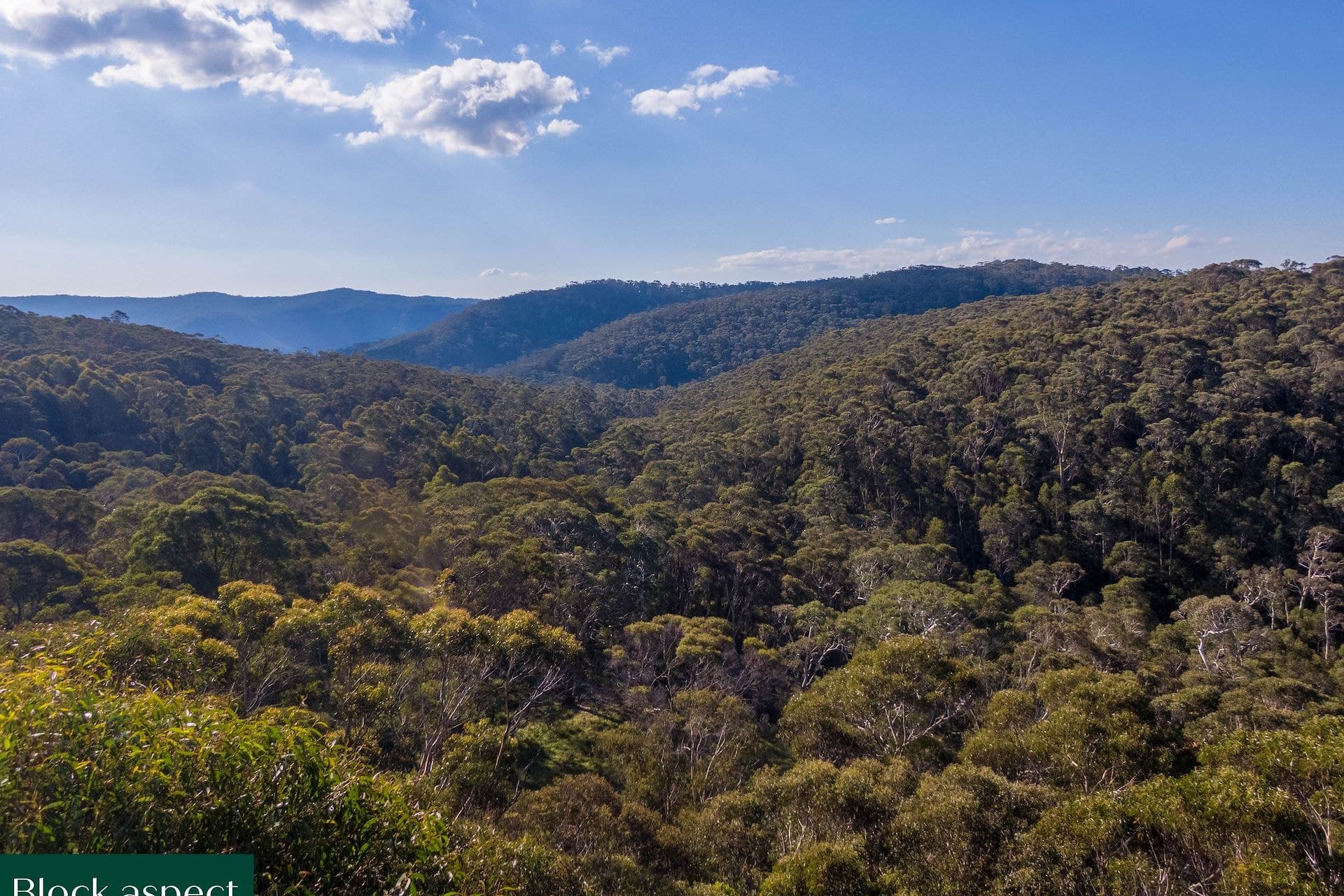 25 Explorers  Road, Katoomba, NSW, Katoomba - Thumbnail 8