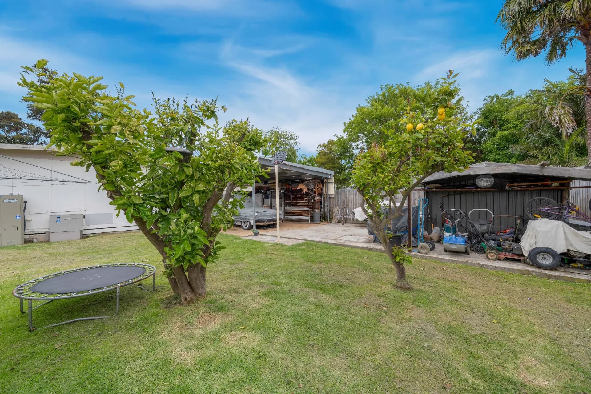 19 Clyde Road, Safety Beach - Thumbnail 7