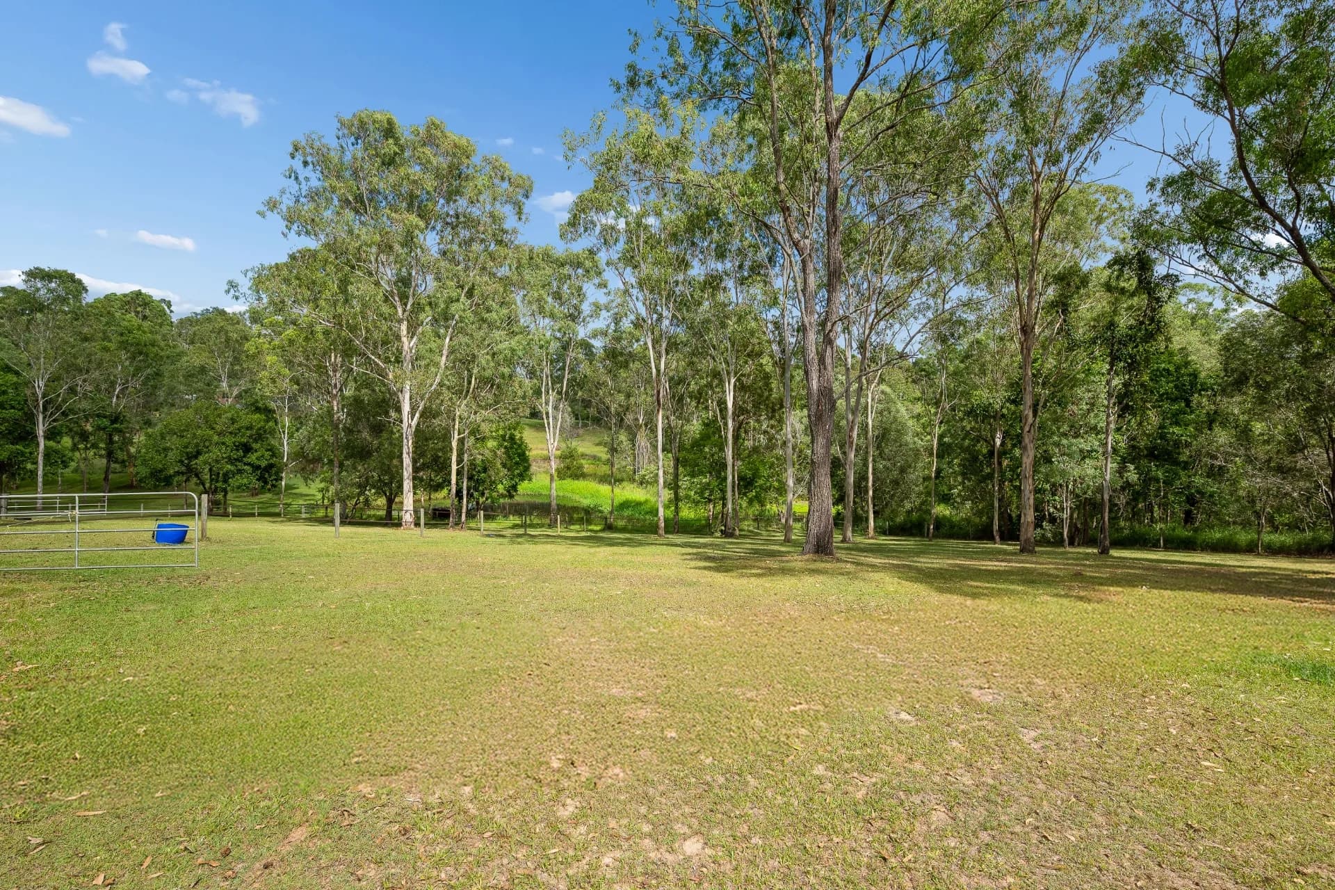 71 Smiths Road, Wights Mountain - Thumbnail 6