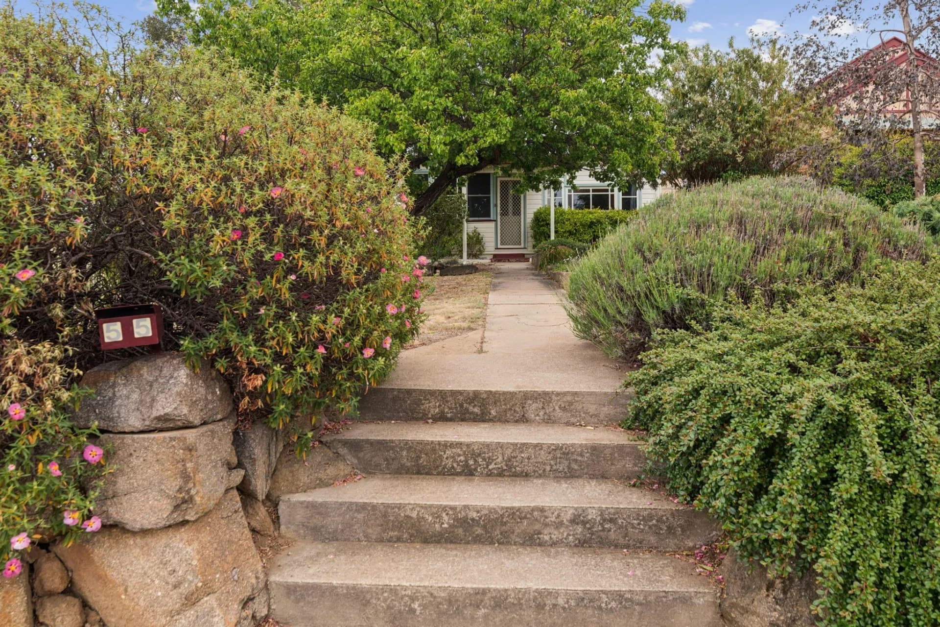 55 Hill Street, Cooma, NSW, Cooma - Image 1