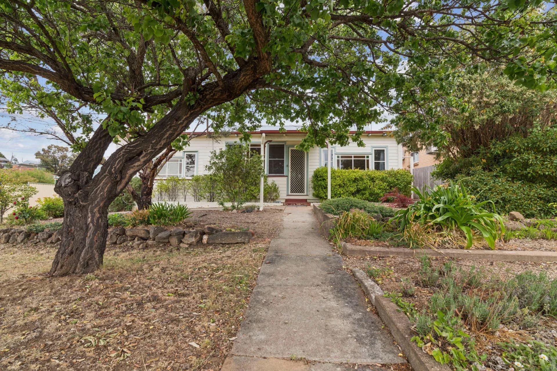 55 Hill Street, Cooma, NSW, Cooma - Thumbnail 2