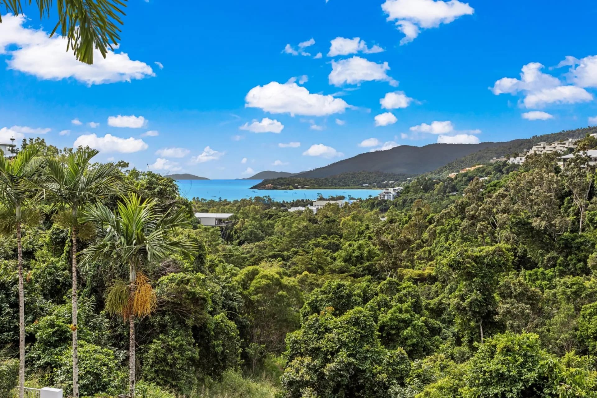 8/15 Flame Tree Court, Airlie Beach, QLD, Airlie Beach - Thumbnail 5