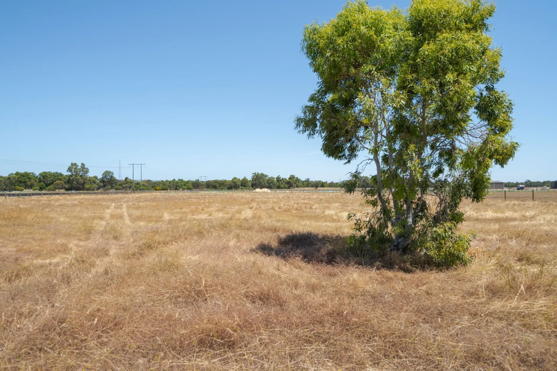 345 Shanns Road, North Dandalup, WA, North Dandalup - Thumbnail 7