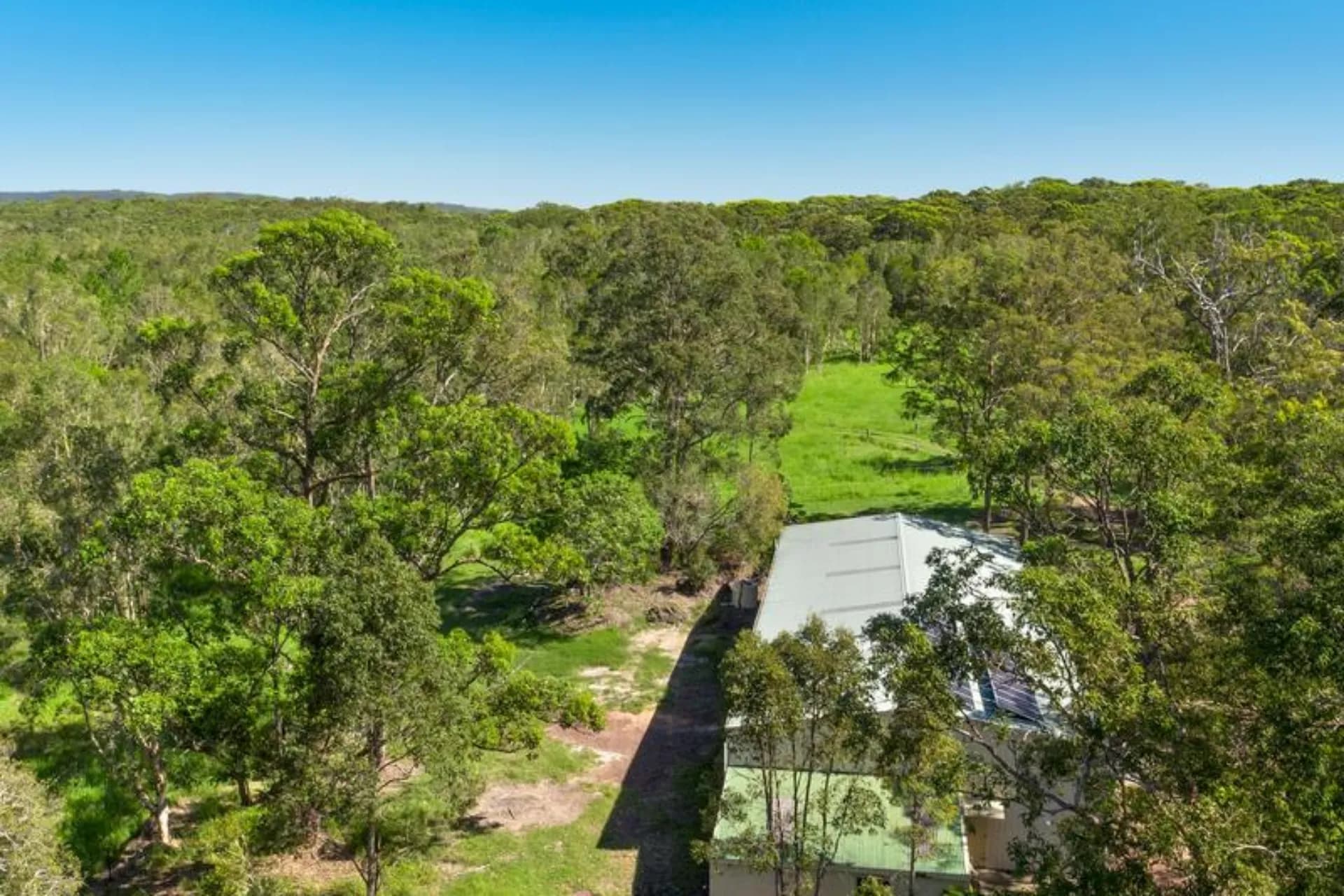30 Cagney Road, Rutherford, NSW, Rutherford - Thumbnail 4