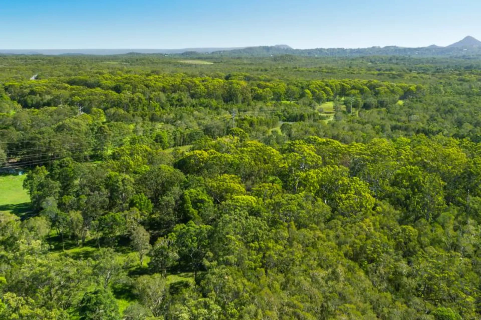 30 Cagney Road, Rutherford, NSW, Rutherford - Thumbnail 8