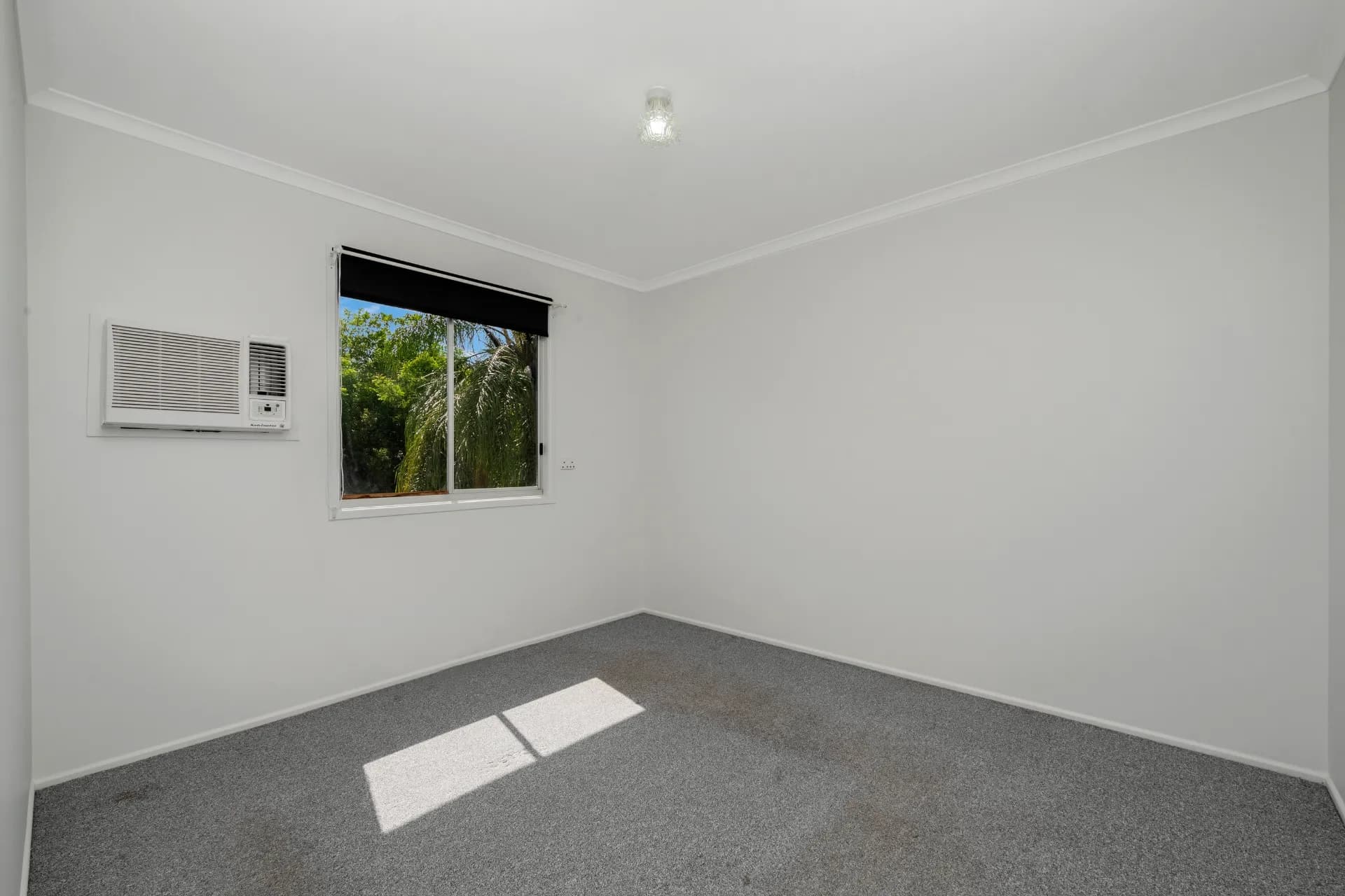 136 Miles  Avenue, Kelso - Thumbnail 5