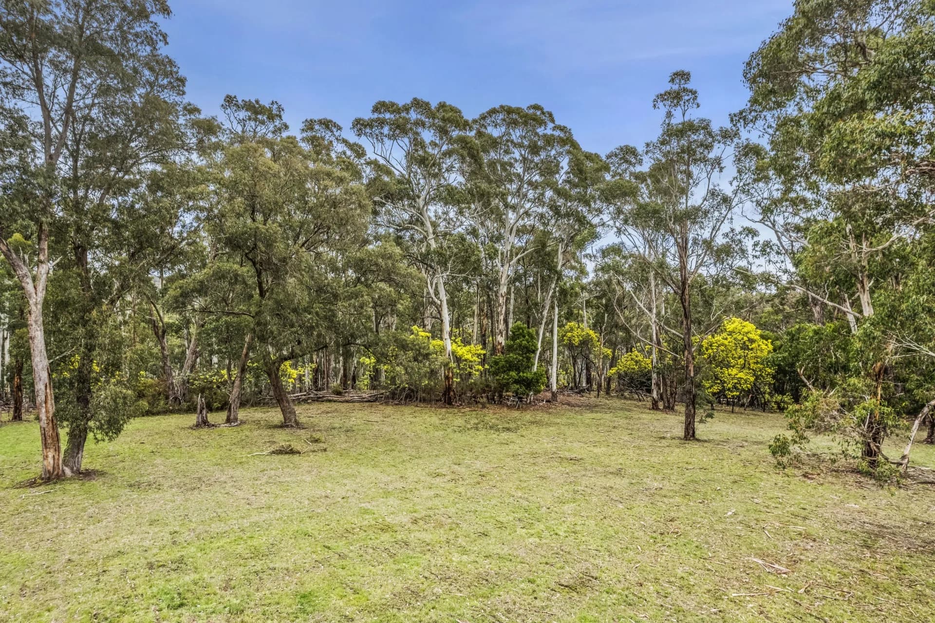 2/80 Hoaths  Road, Sailors Hill - Image 1