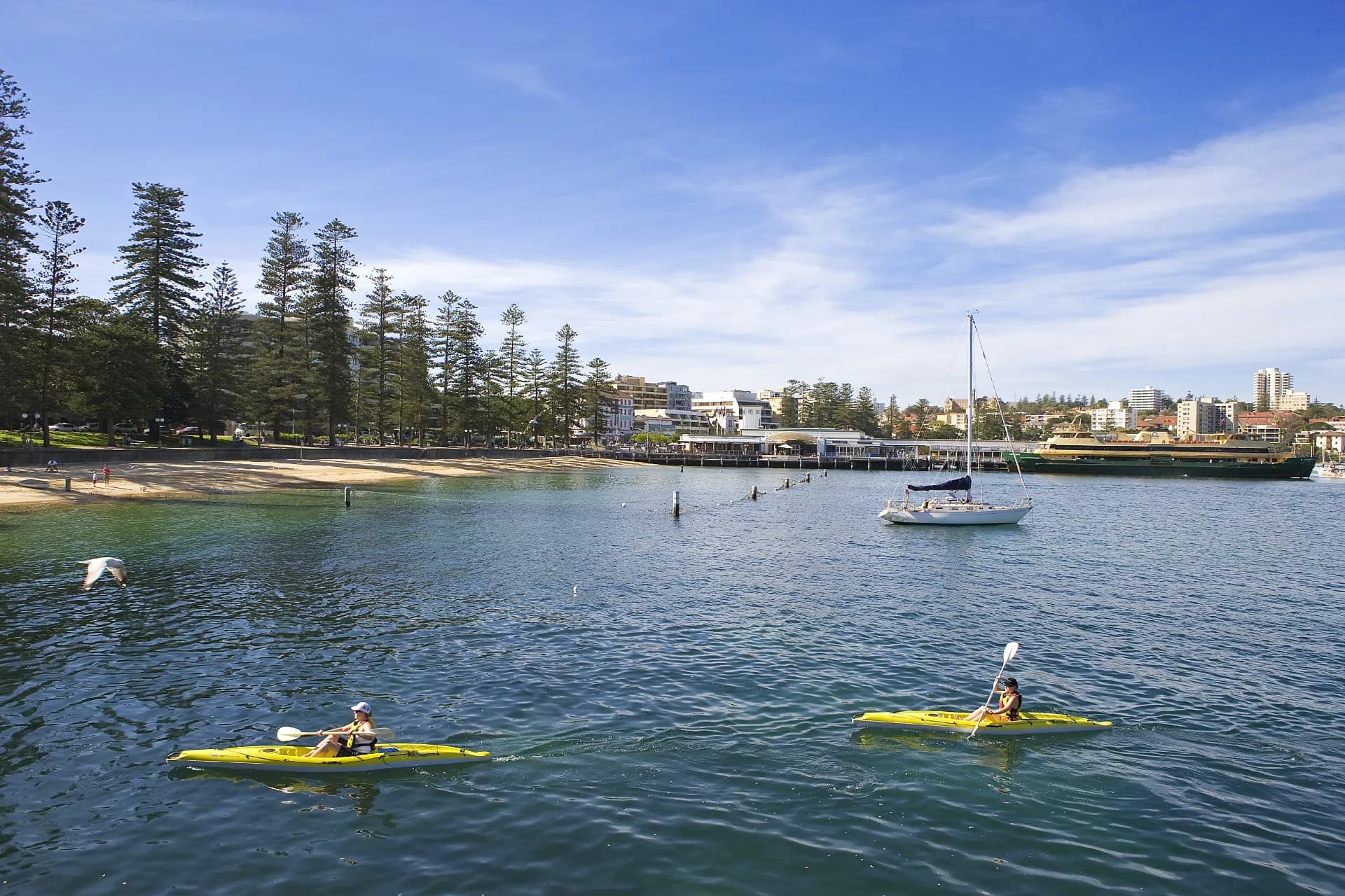 104 Addison Road, Manly - Thumbnail 2
