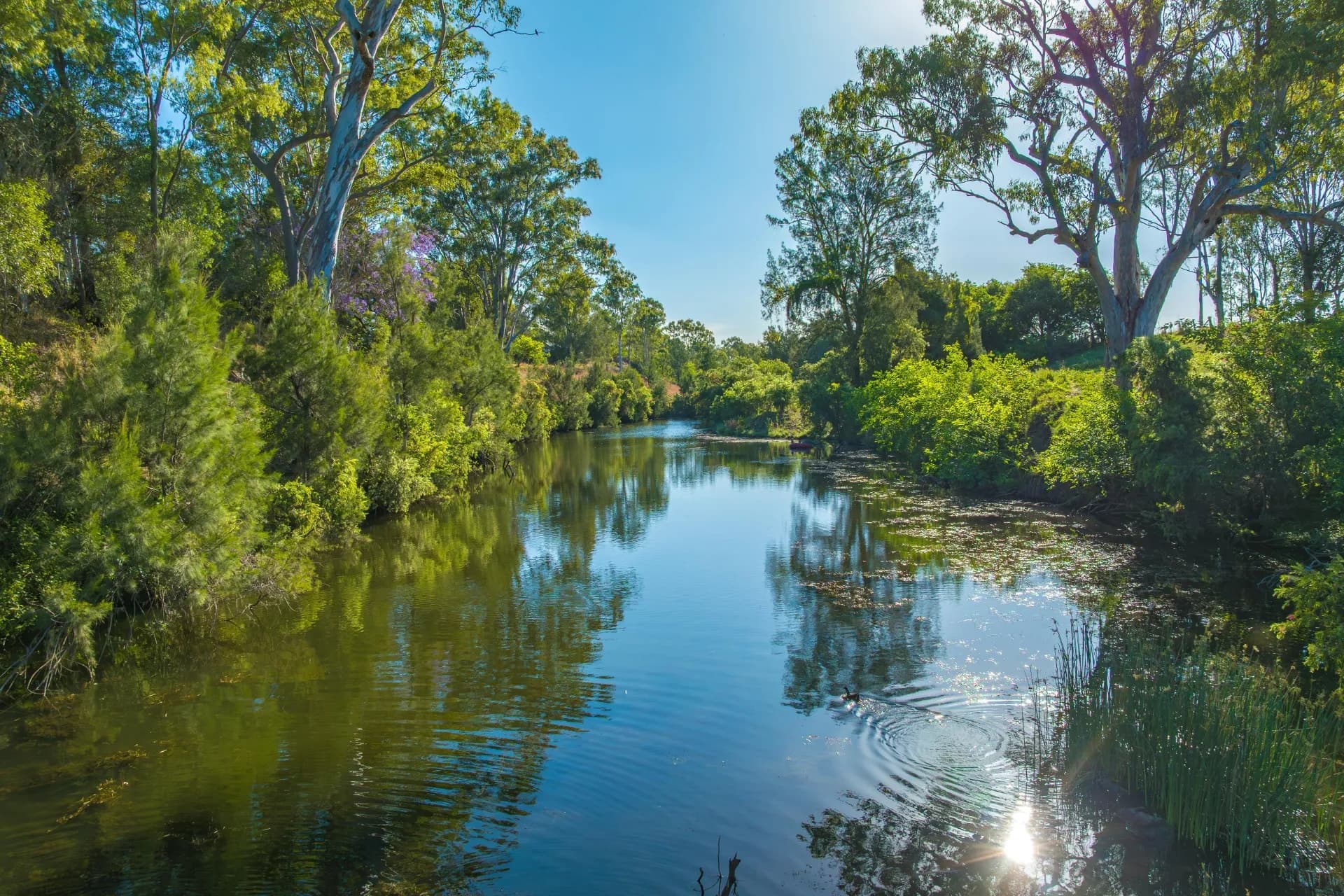 97 Running Creek Road, Kilkivan - Thumbnail 4