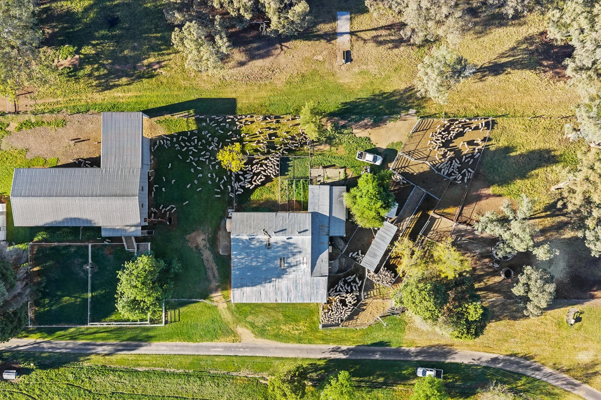 3809 Belubula Way, Canowindra - Thumbnail 4