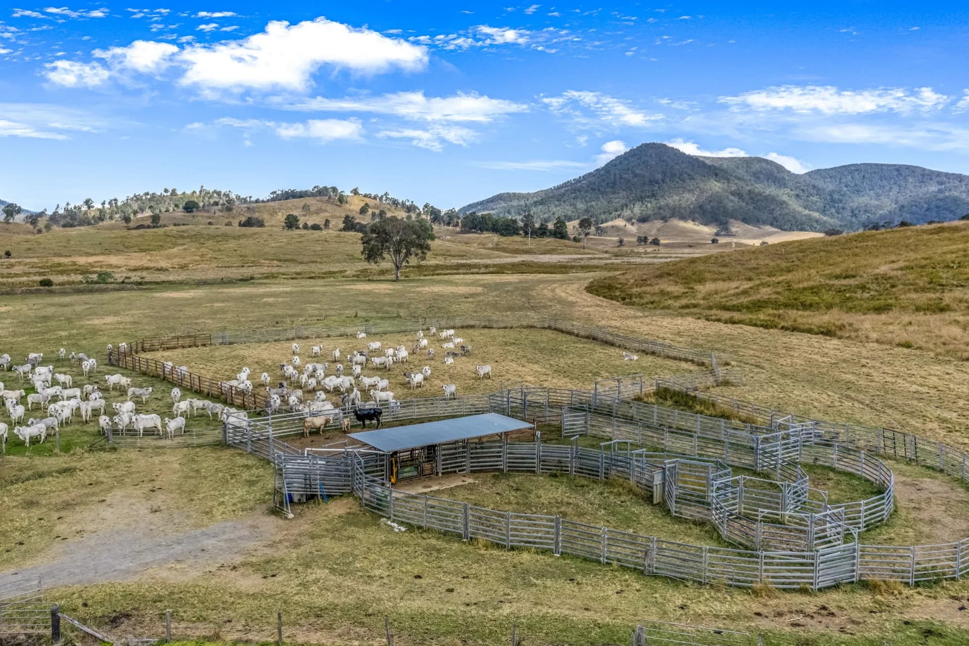 20 Kitt Crescent, Kilkivan - Thumbnail 4