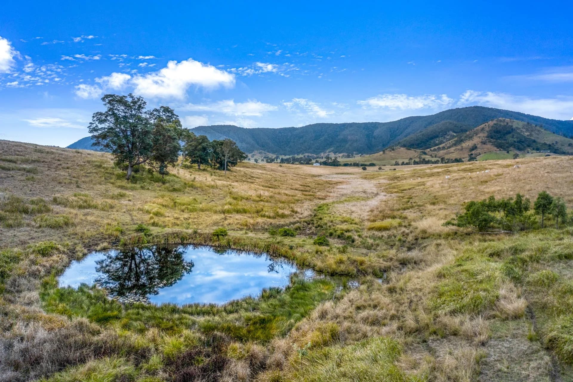 20 Kitt Crescent, Kilkivan - Thumbnail 8