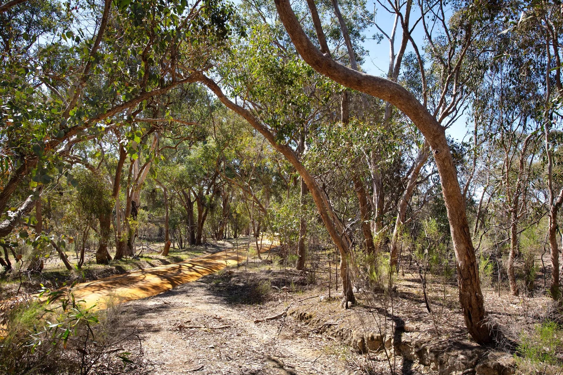 199 Yandoit Township Road, Yandoit., Nundah - Thumbnail 3