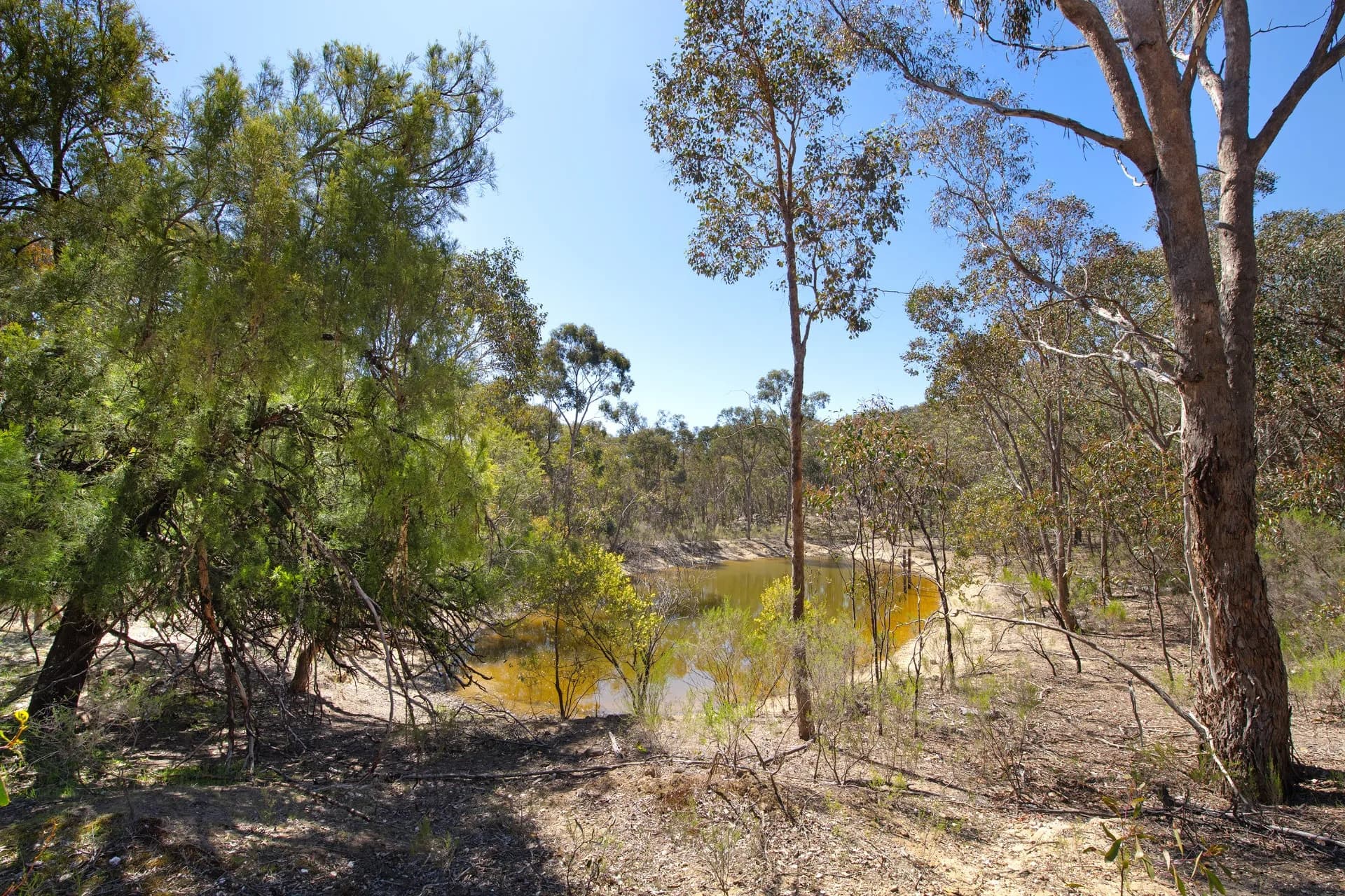 199 Yandoit Township Road, Yandoit., Nundah - Thumbnail 7