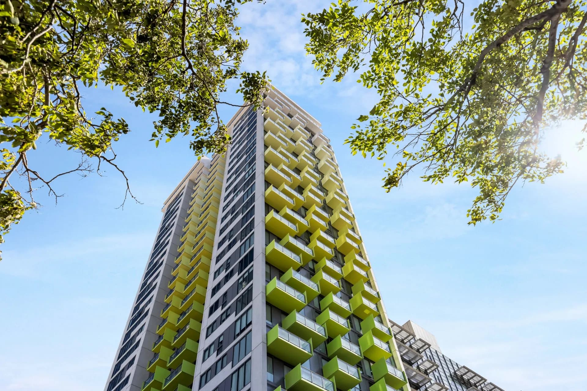 1303/29 Angas Street, Adelaide, SA, Adelaide - Image 1