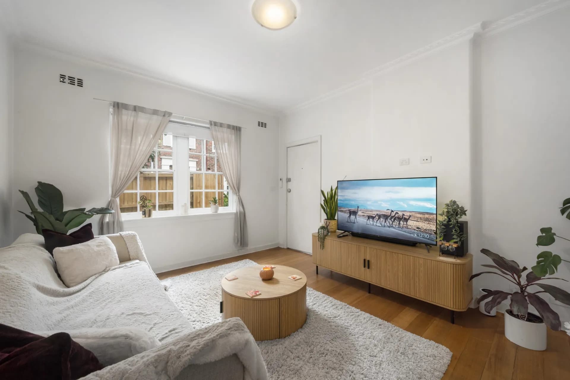 5/33 Orange Grove, Balaclava - Image 1