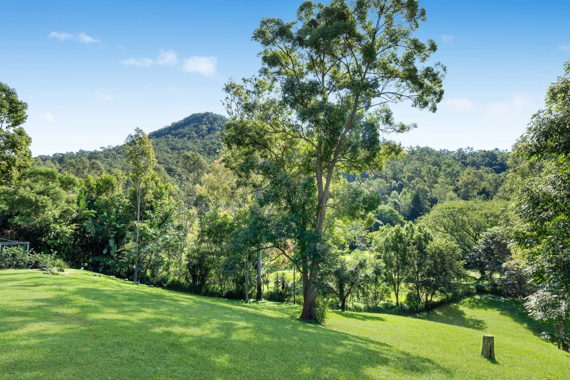 50 Reiners Road, Highvale - Thumbnail 8