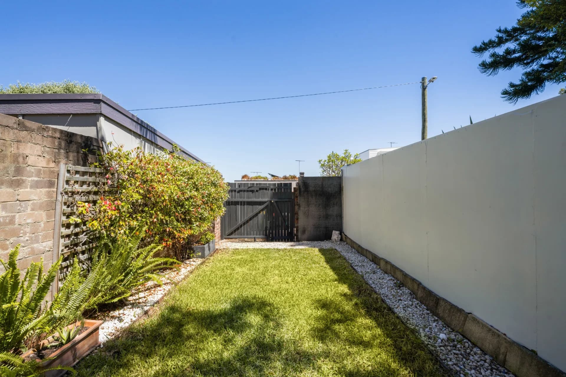 328 Annandale Street, Annandale, NSW, Annandale - Thumbnail 6