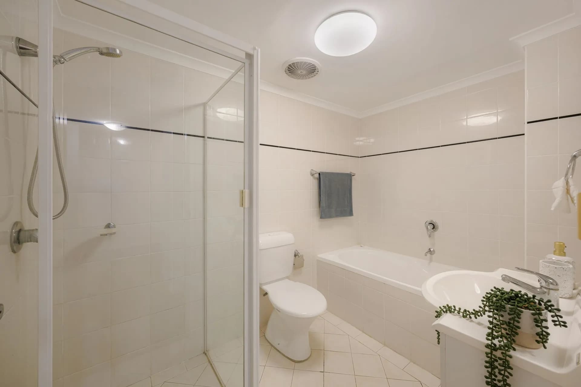 8/1-4 The Crescent, Strathfield - Thumbnail 8