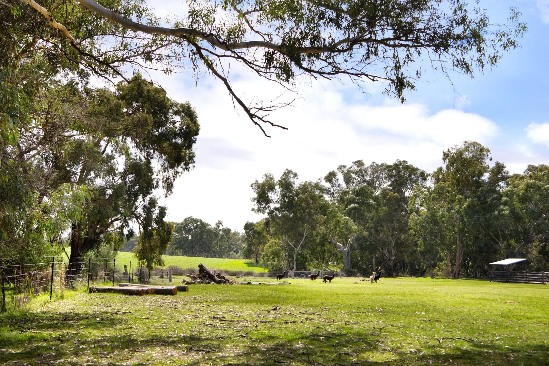 Lot 1, 67A Lyons Street, Newstead, VIC, Newstead, - Thumbnail 2