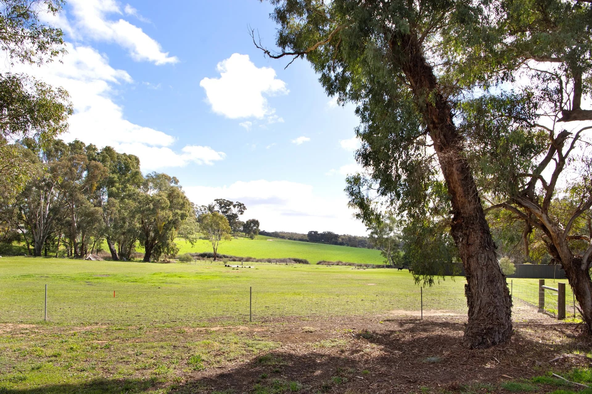 Lot 1, 67A Lyons Street, Newstead, VIC, Newstead, - Thumbnail 3