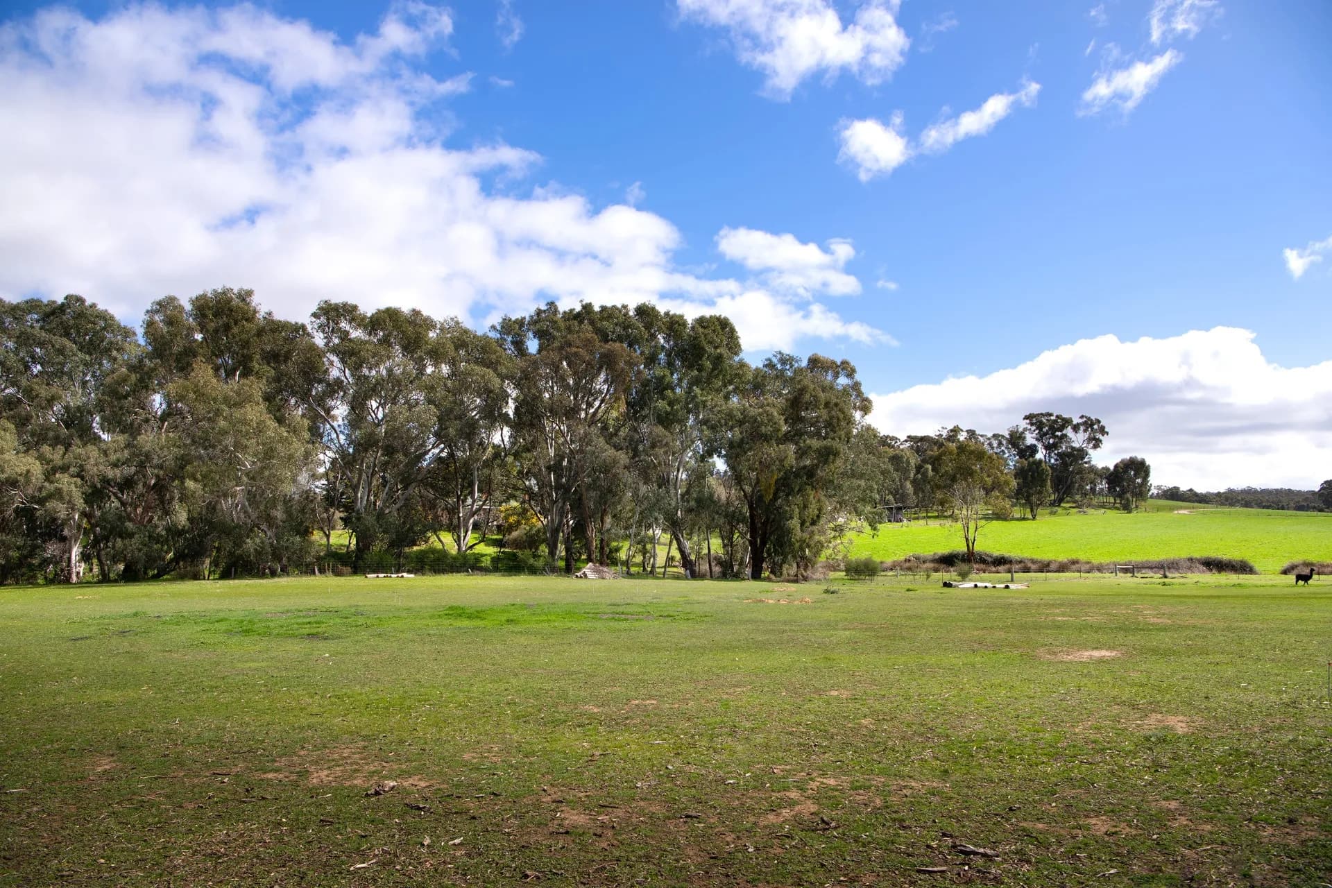 Lot 1, 67A Lyons Street, Newstead, VIC, Newstead, - Thumbnail 6