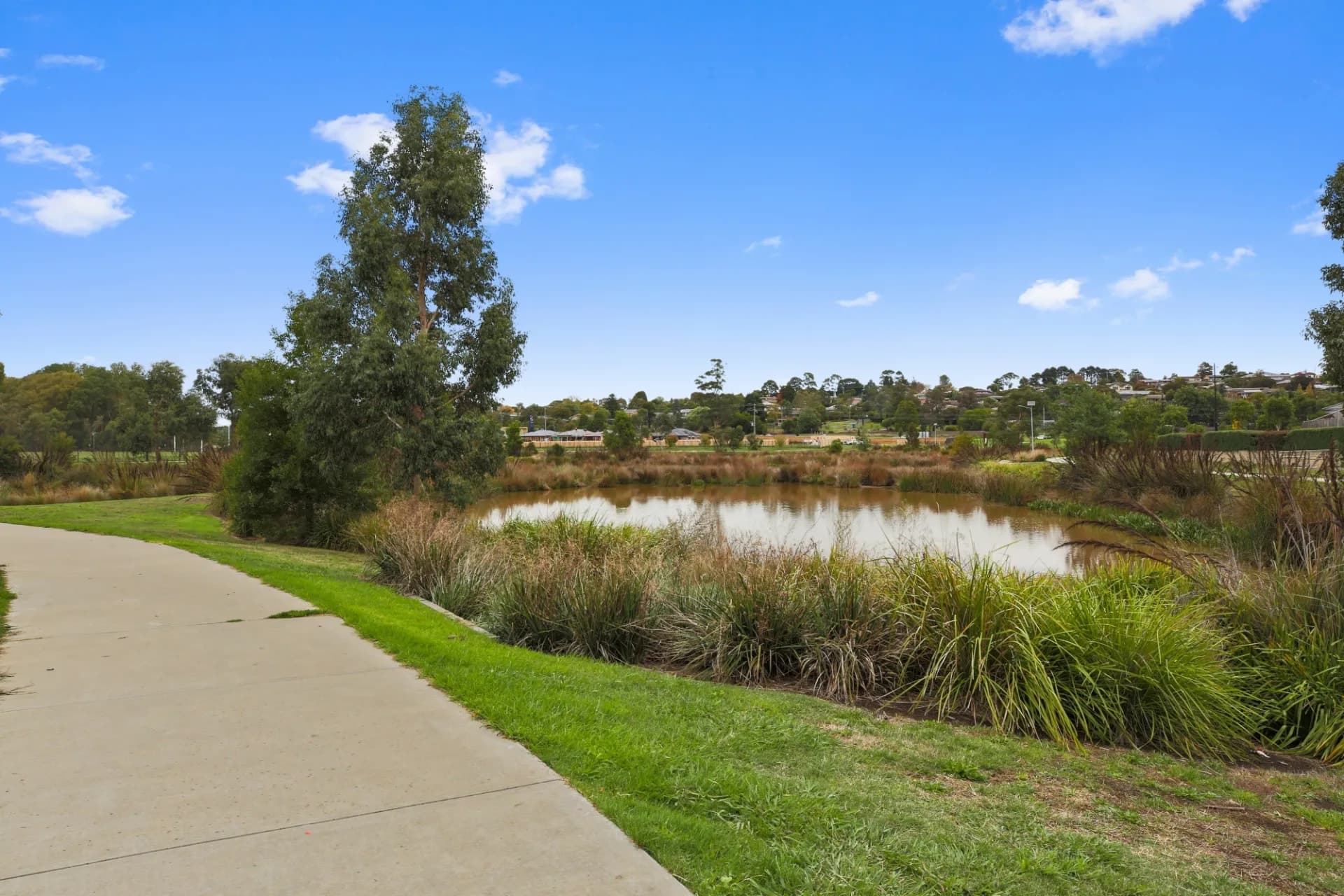 14 Hann Street, Griffith, ACT, Griffith - Thumbnail 7