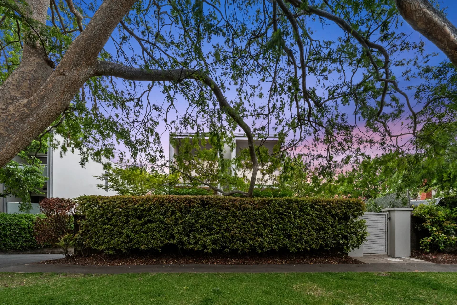 14 Hann Street, Griffith, Griffith - Thumbnail 2
