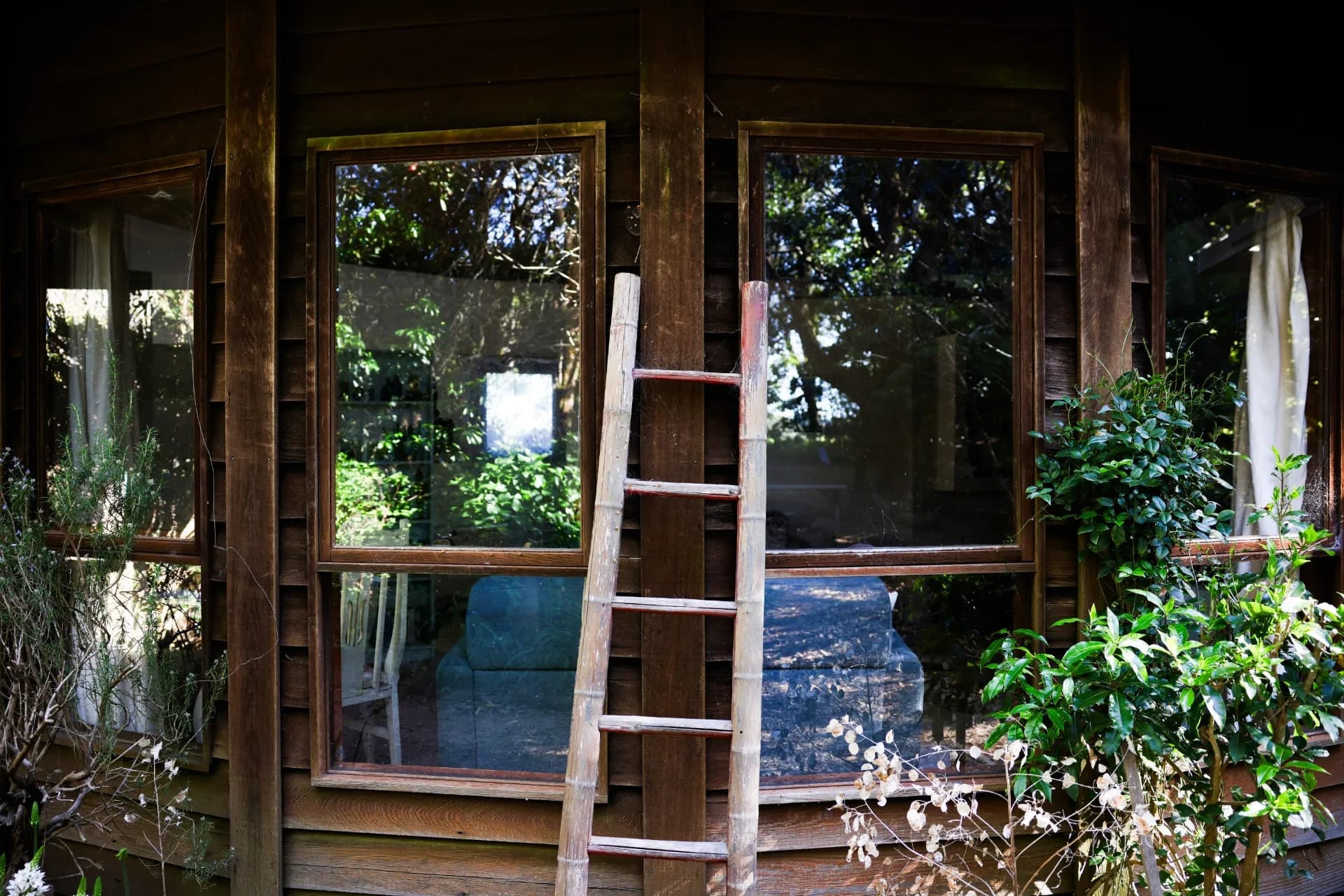 1 Ranelagh Street, Robertson, NSW, Robertson - Thumbnail 2