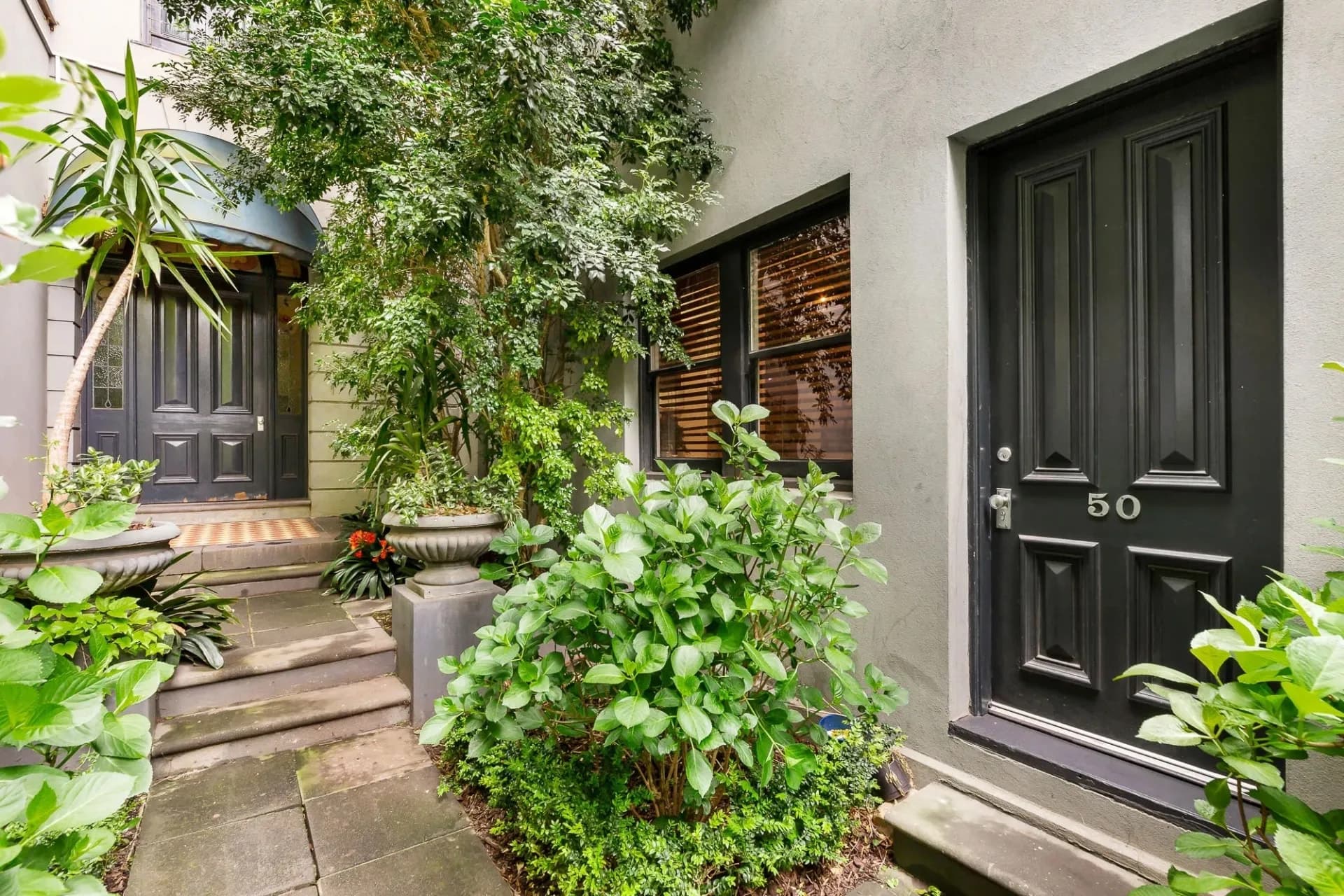 50/87 Alma Road, St Kilda - Image 1