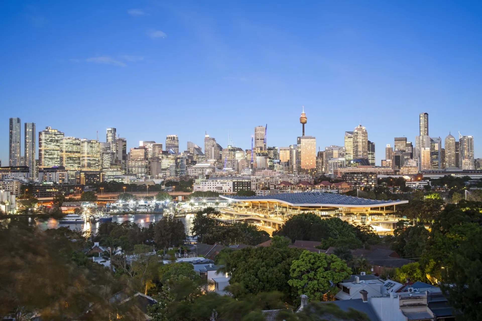 31/2a Forsyth Street, Glebe - Image 1