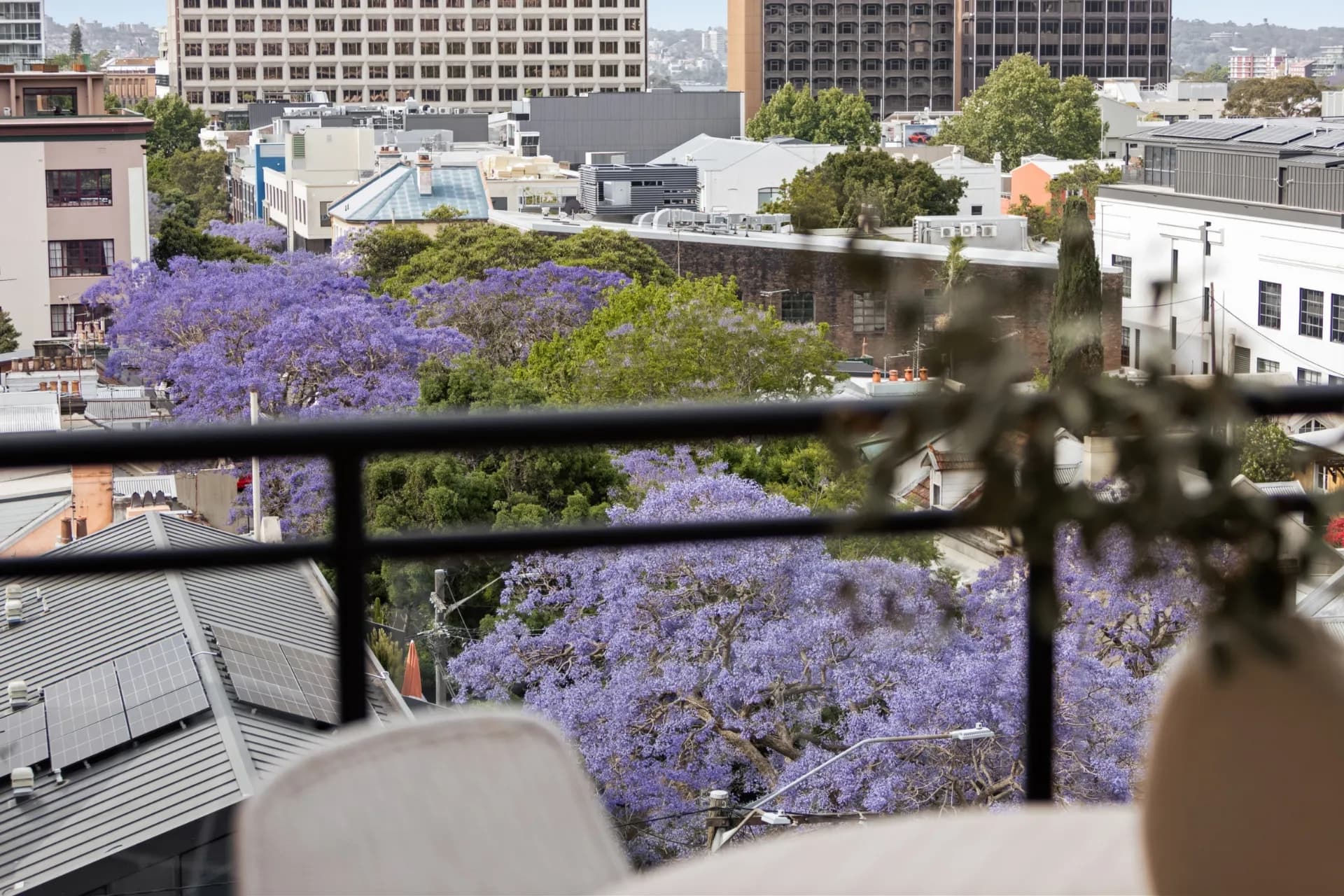 38/8 Norman Street, Darlinghurst - Thumbnail 5