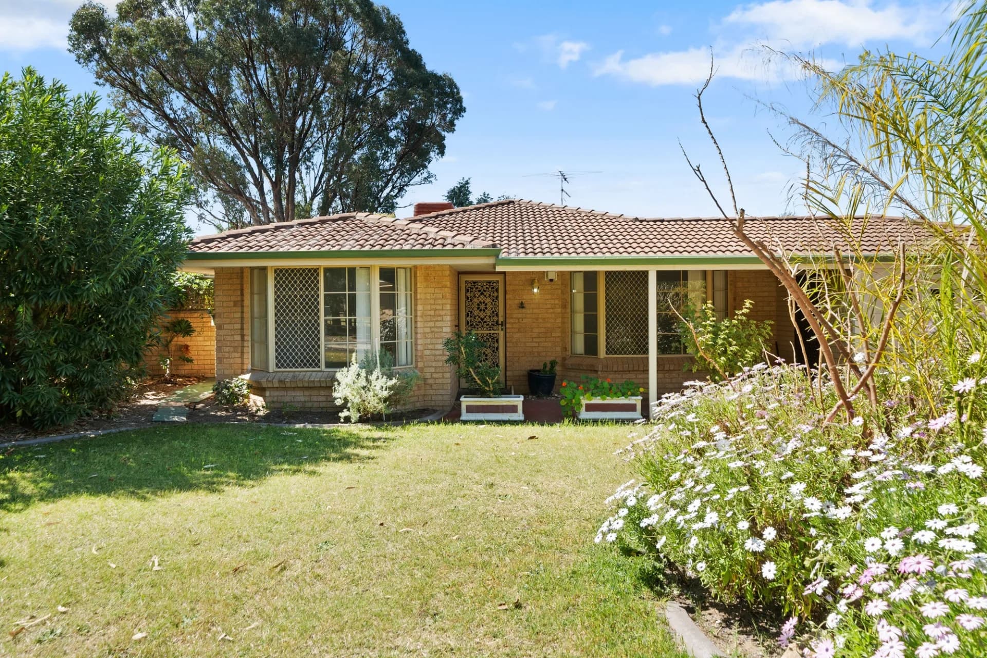 29 Misty Meander, Greenfields., Greenfields - Image 1