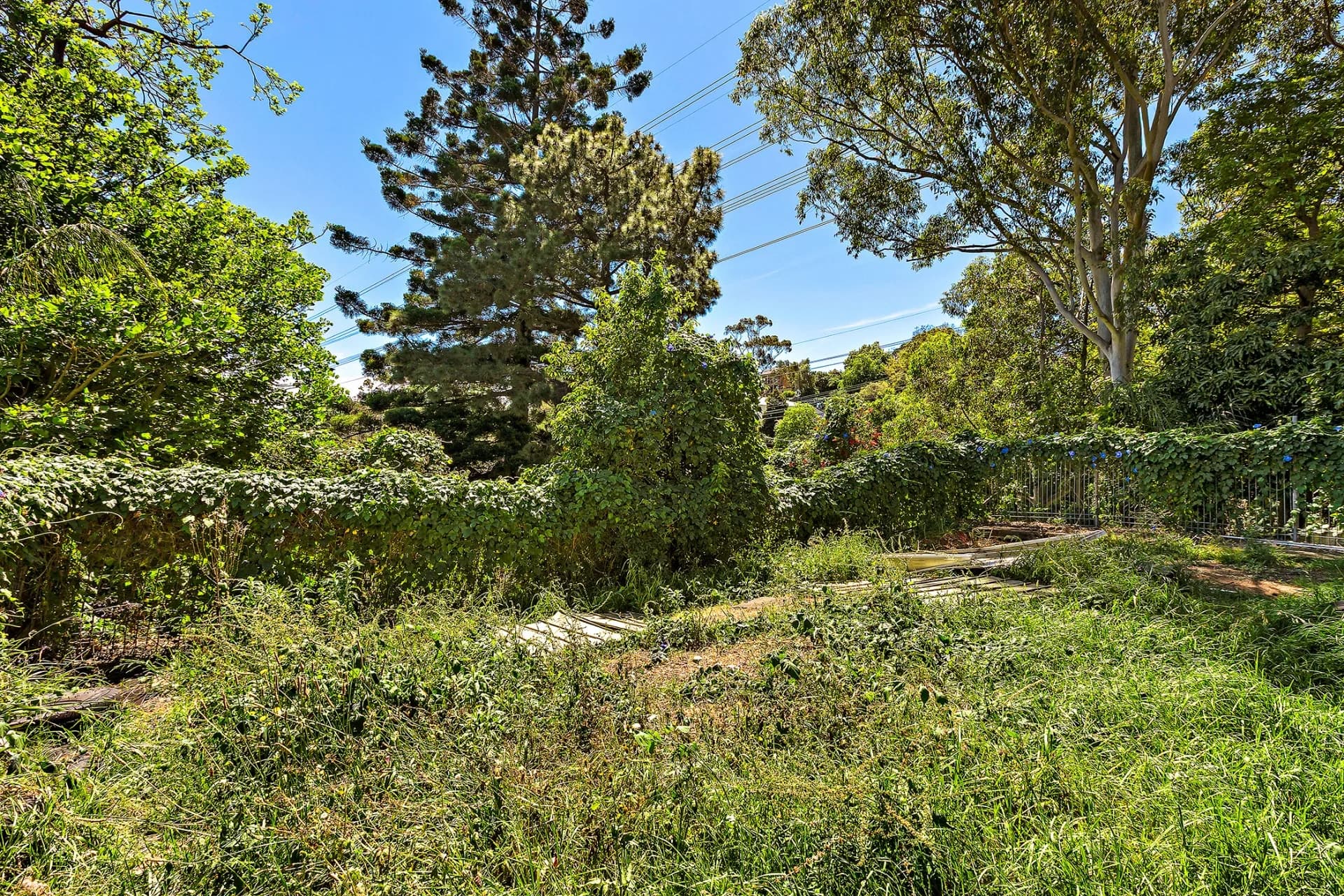 17 Perry Street, Dundas Valley - Thumbnail 7