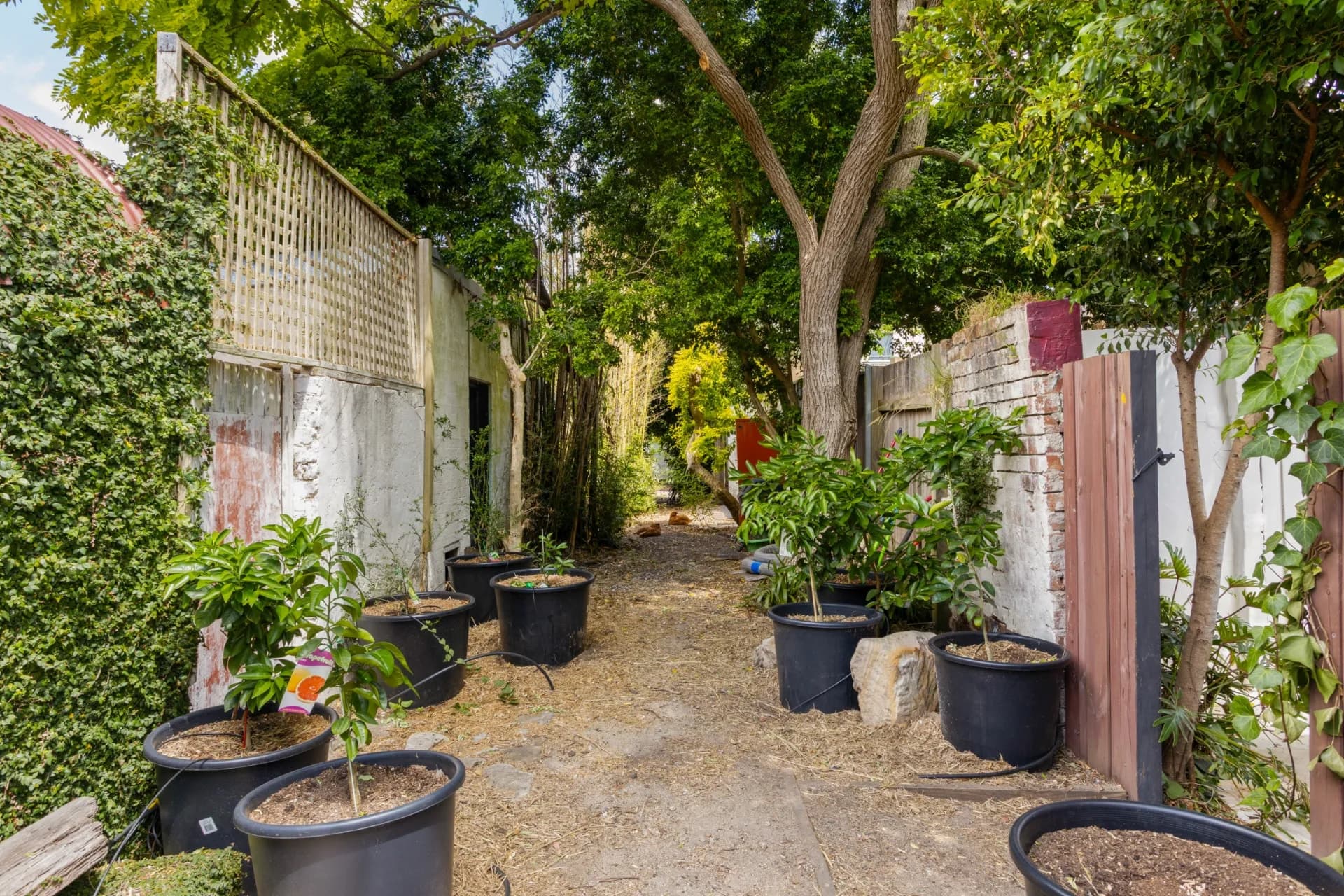 53 Douglas Street, Redfern., Redfern - Thumbnail 8