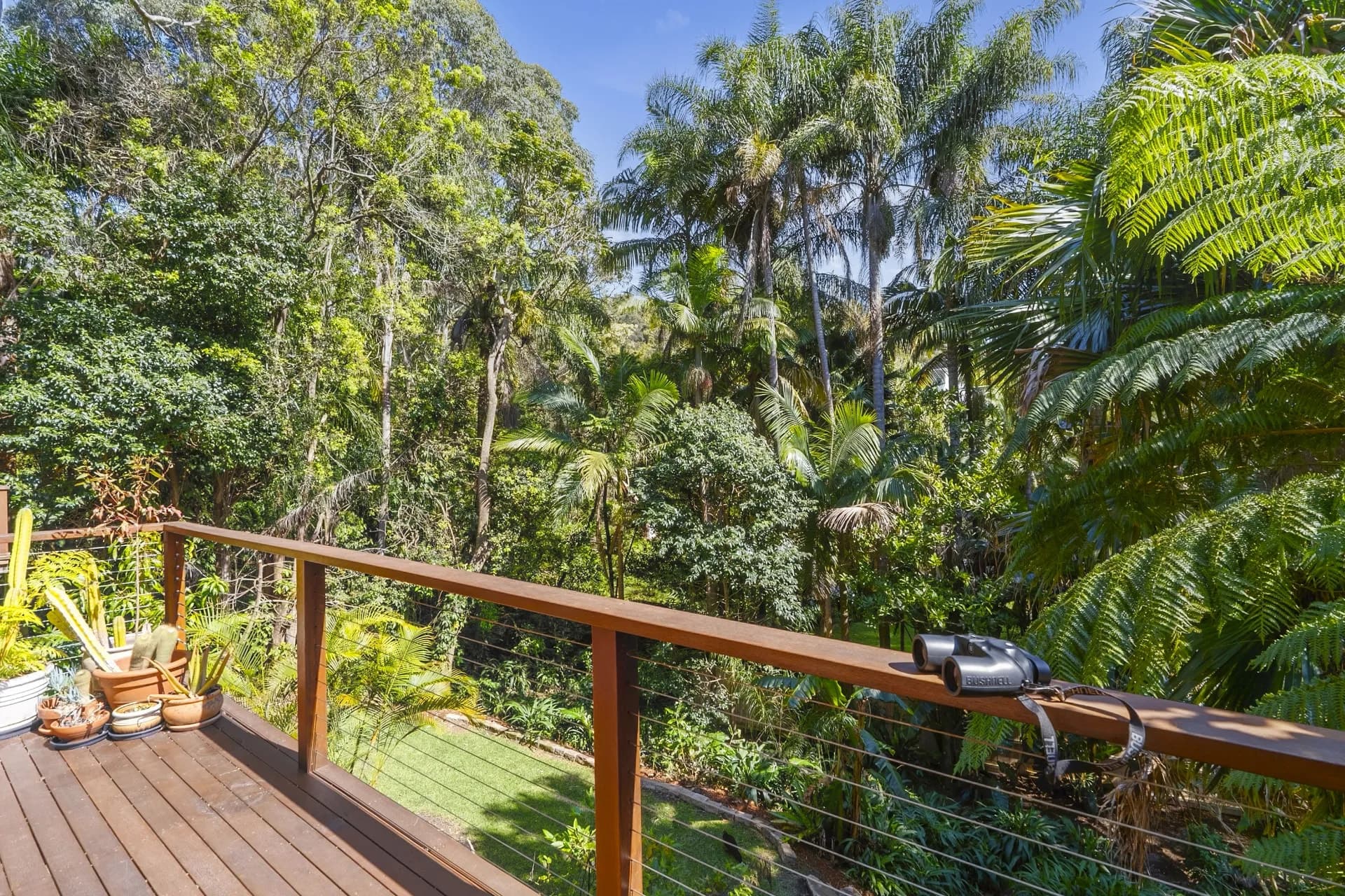 14 Loquat Valley Road, Bayview - Thumbnail 4