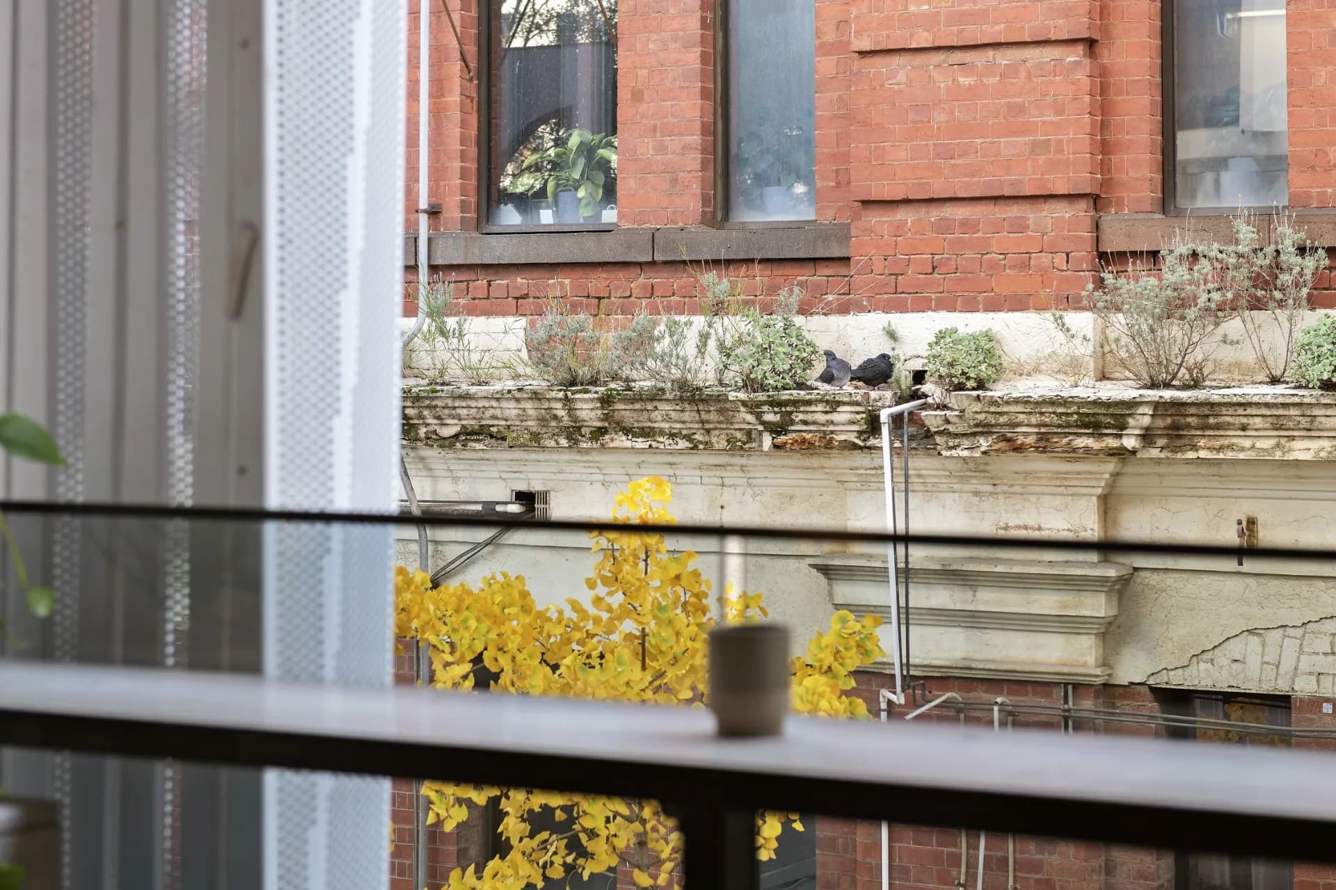 209/107 Cambridge Street, Collingwood., Collingwood - Thumbnail 5