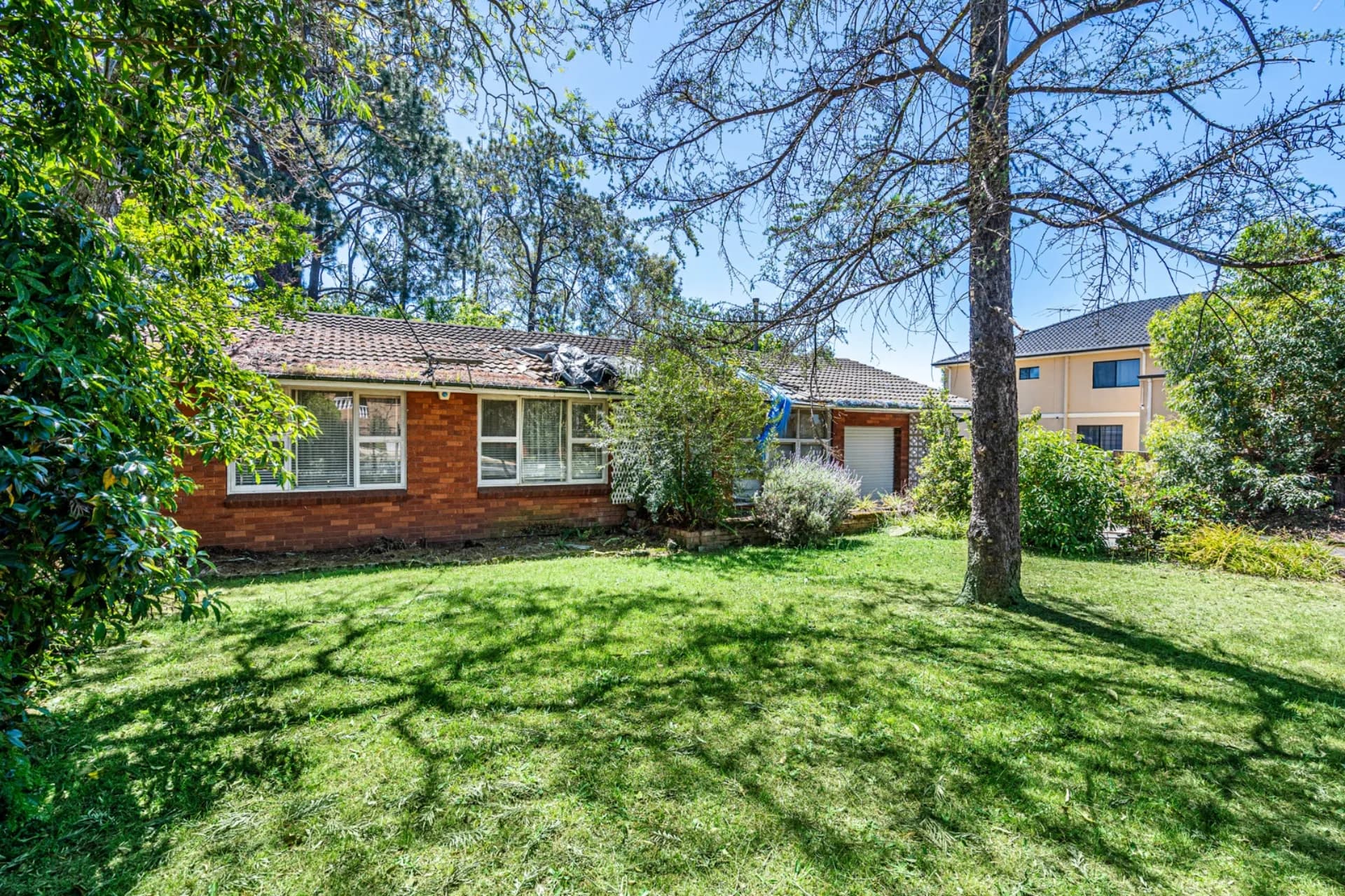 245 North Rocks Road, North Rocks - Thumbnail 3