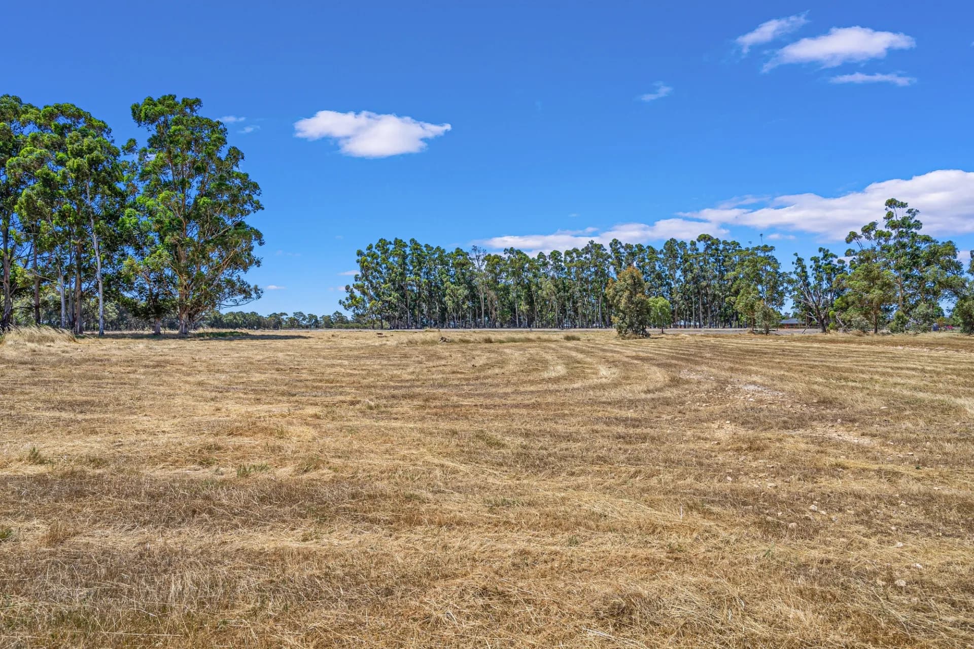 245 North Rocks Road, North Rocks, NSW, North Rocks - Thumbnail 6
