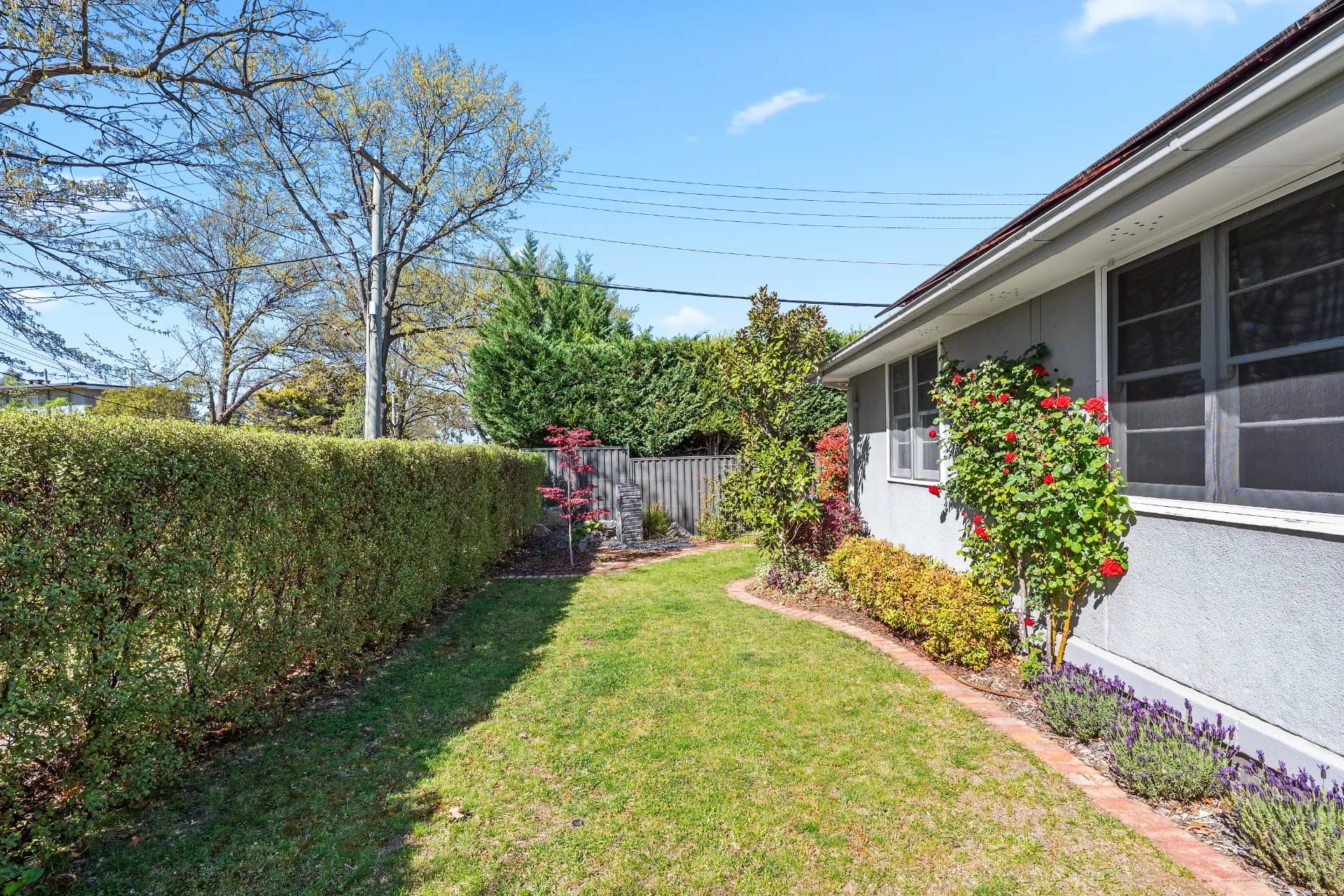 14 Toolambi Street, Narrabundah., Narrabundah - Thumbnail 3